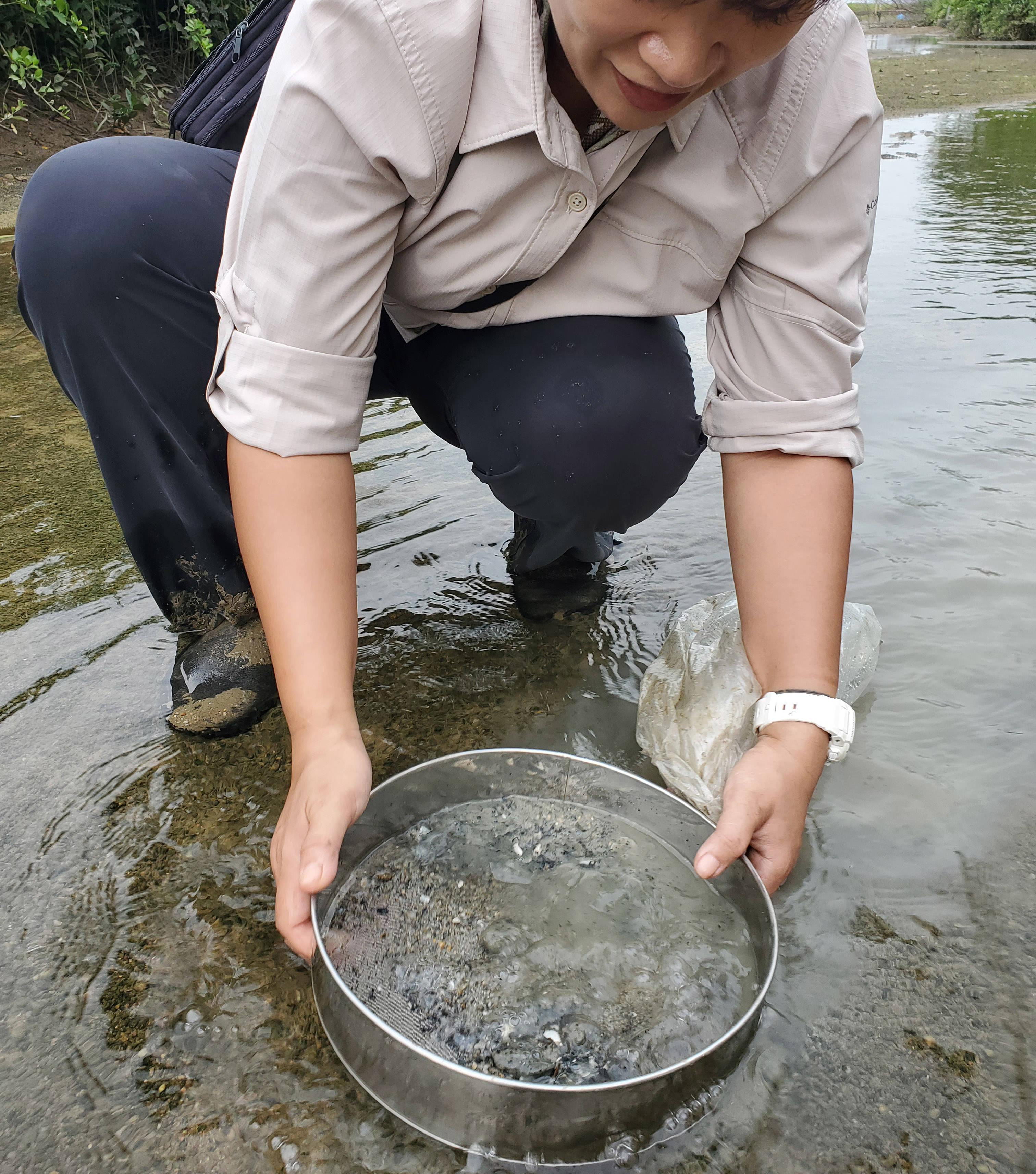 Conservationist gathering mud in sieves and rinsing away the sediment to collect wildlife such as worms, shrimp and crabs.