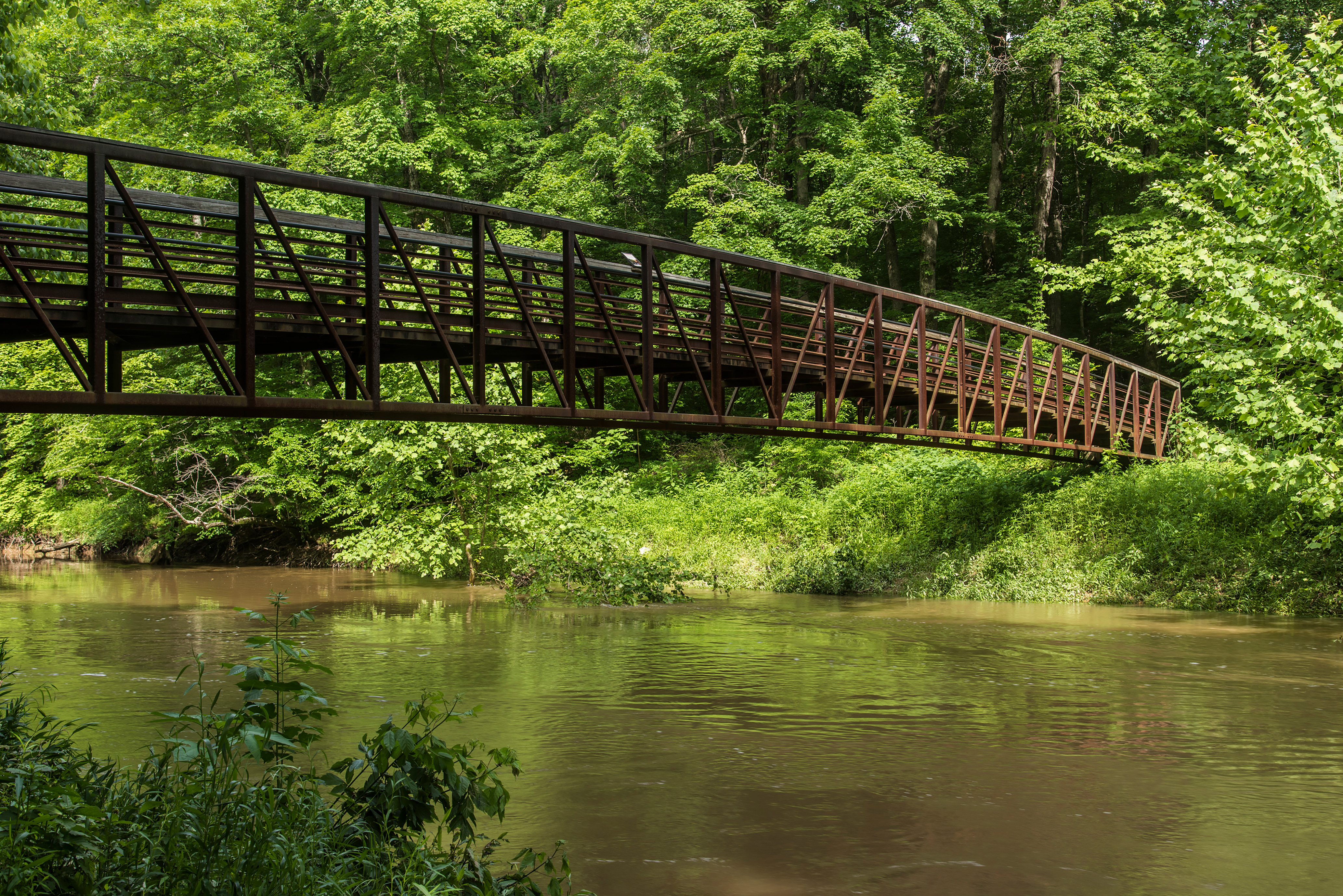 A long brown bridge stretches across a green-tinted river with thick greenery on the other side.