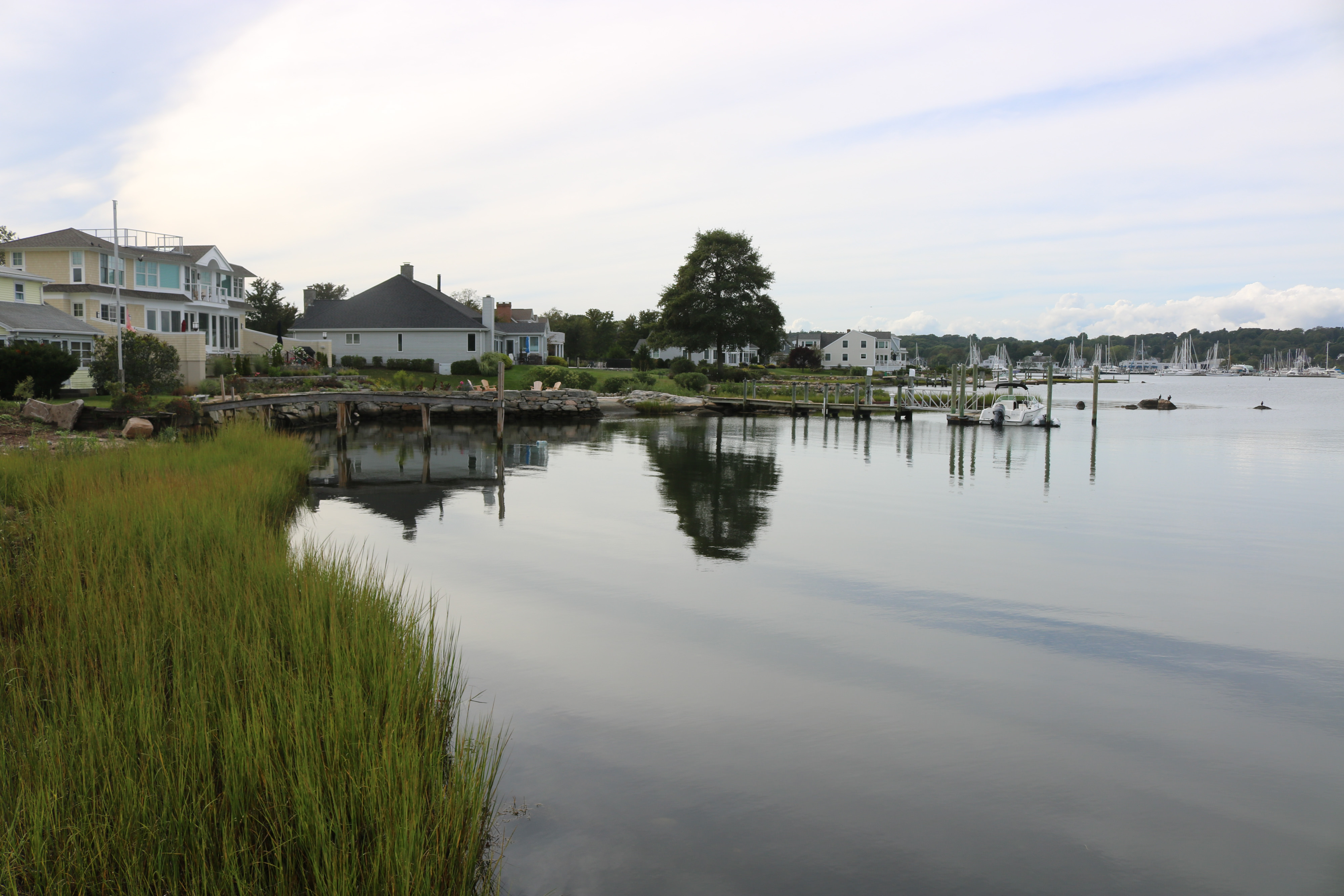 View of a grassy harbor and some seaside homes on a clo