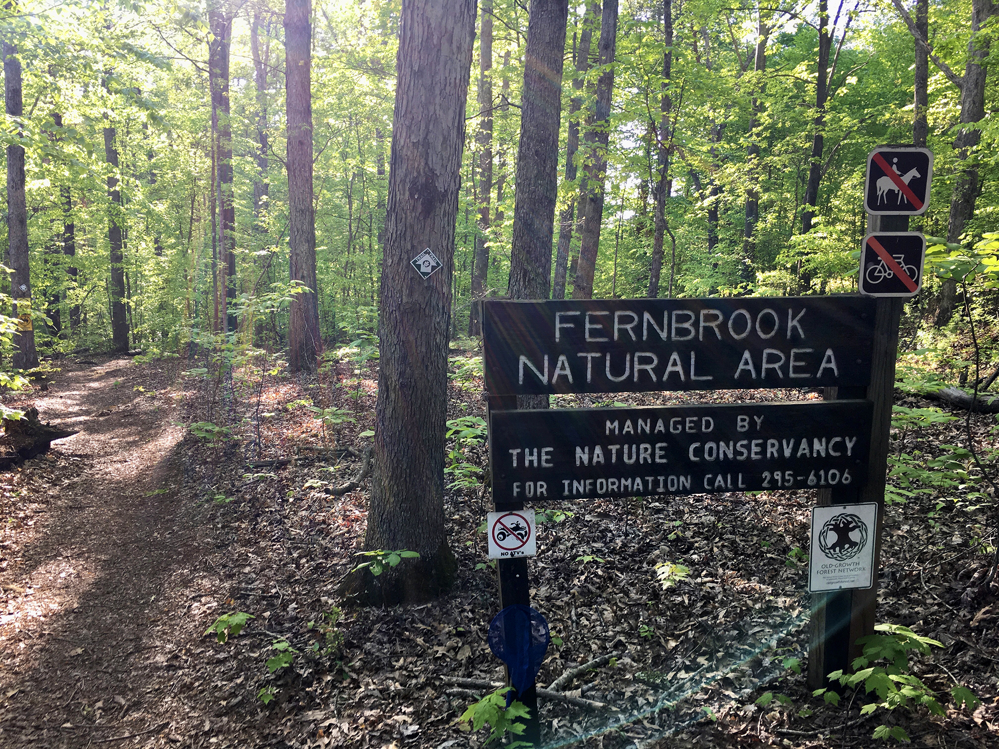 Wooden sign that says "Fernbook Natural Area" as well as general information about visiting, in a forested area.,