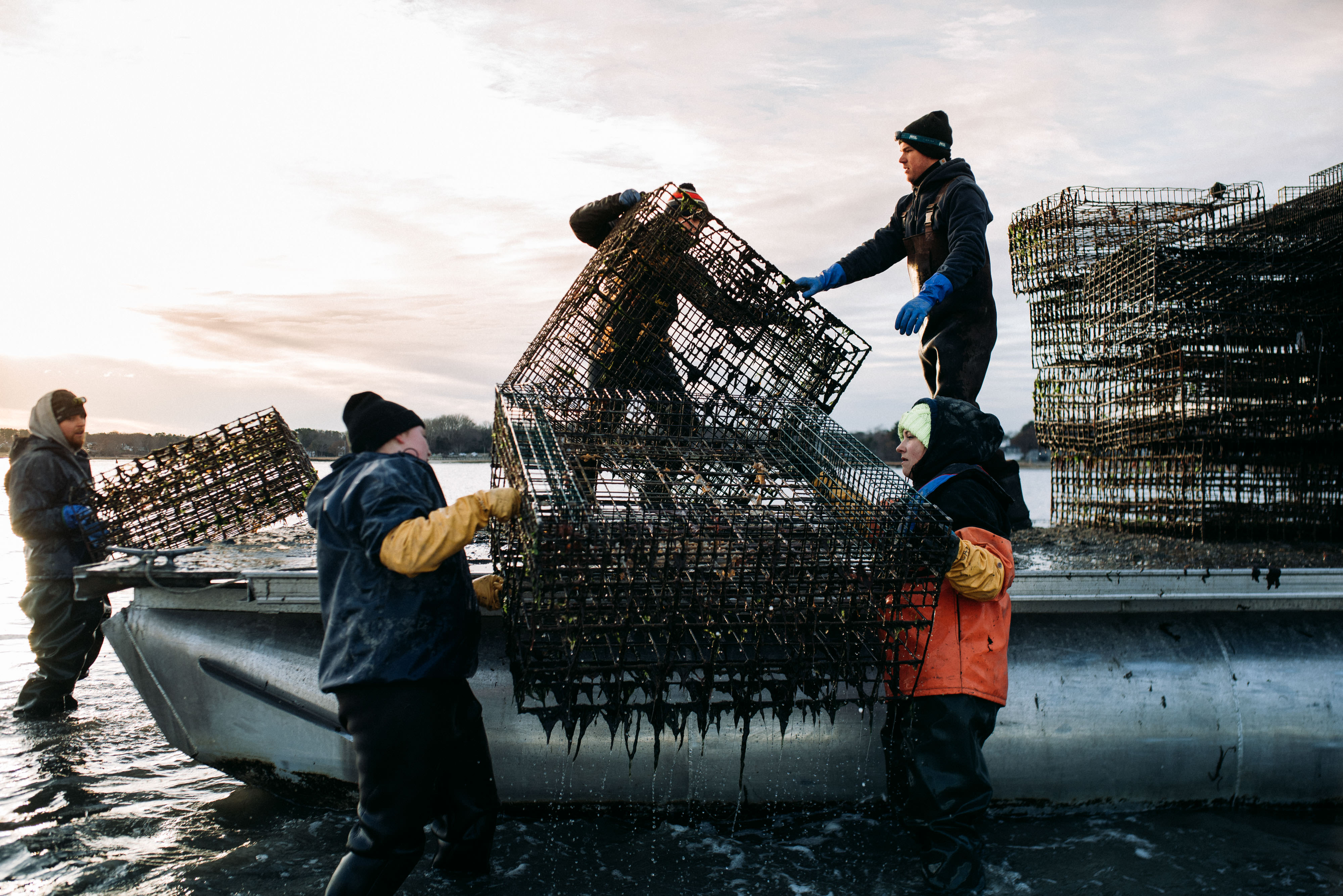 Pescadores levantan del mar jaulas para captura