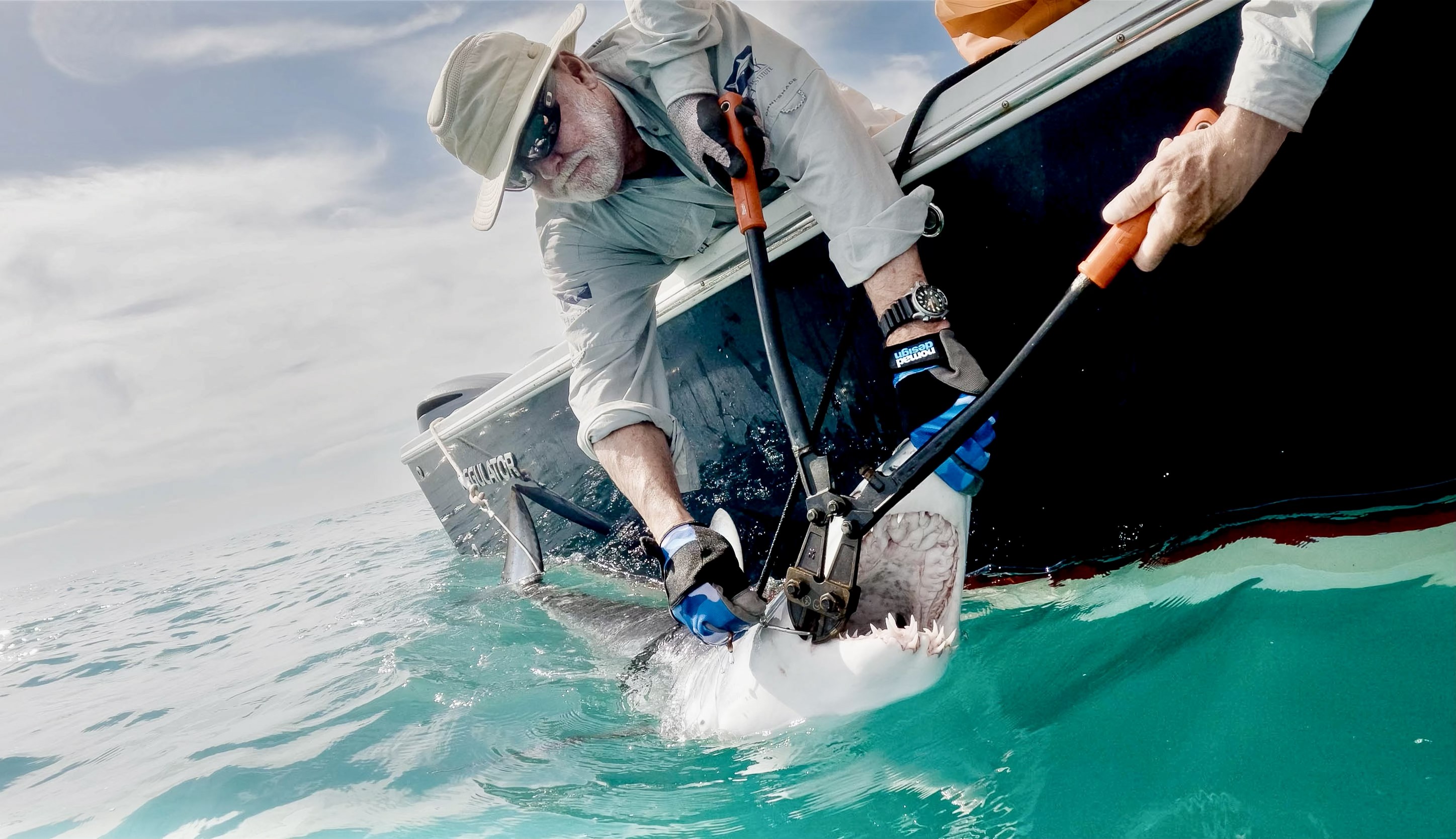 A gray-haired man wearing a broad-brimmed hat and sunglasses leans over the side of a boat at sea, holding the snout of a shark while a second person reaches down to cut the hook with boltcutters.