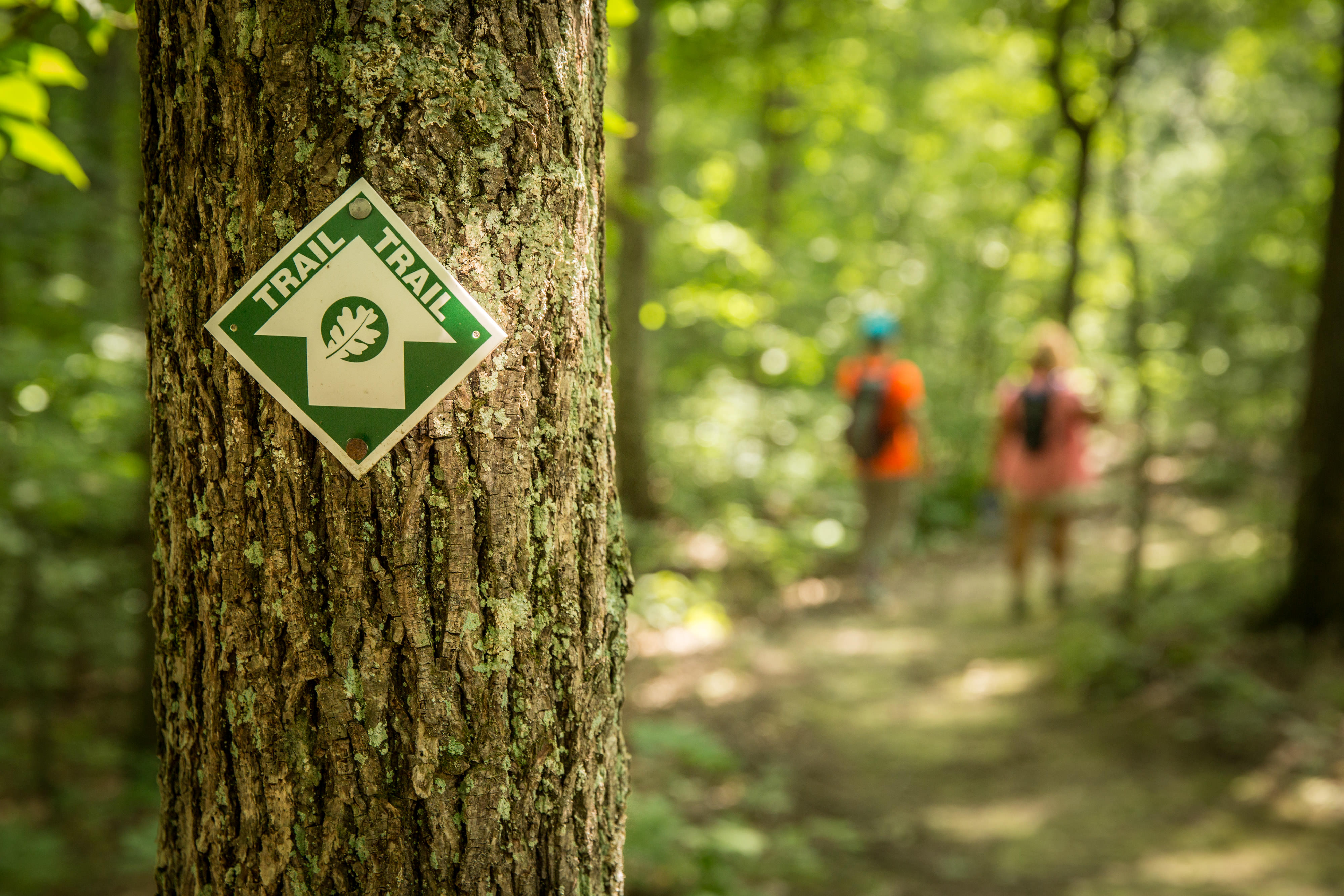 Hiking trail marker