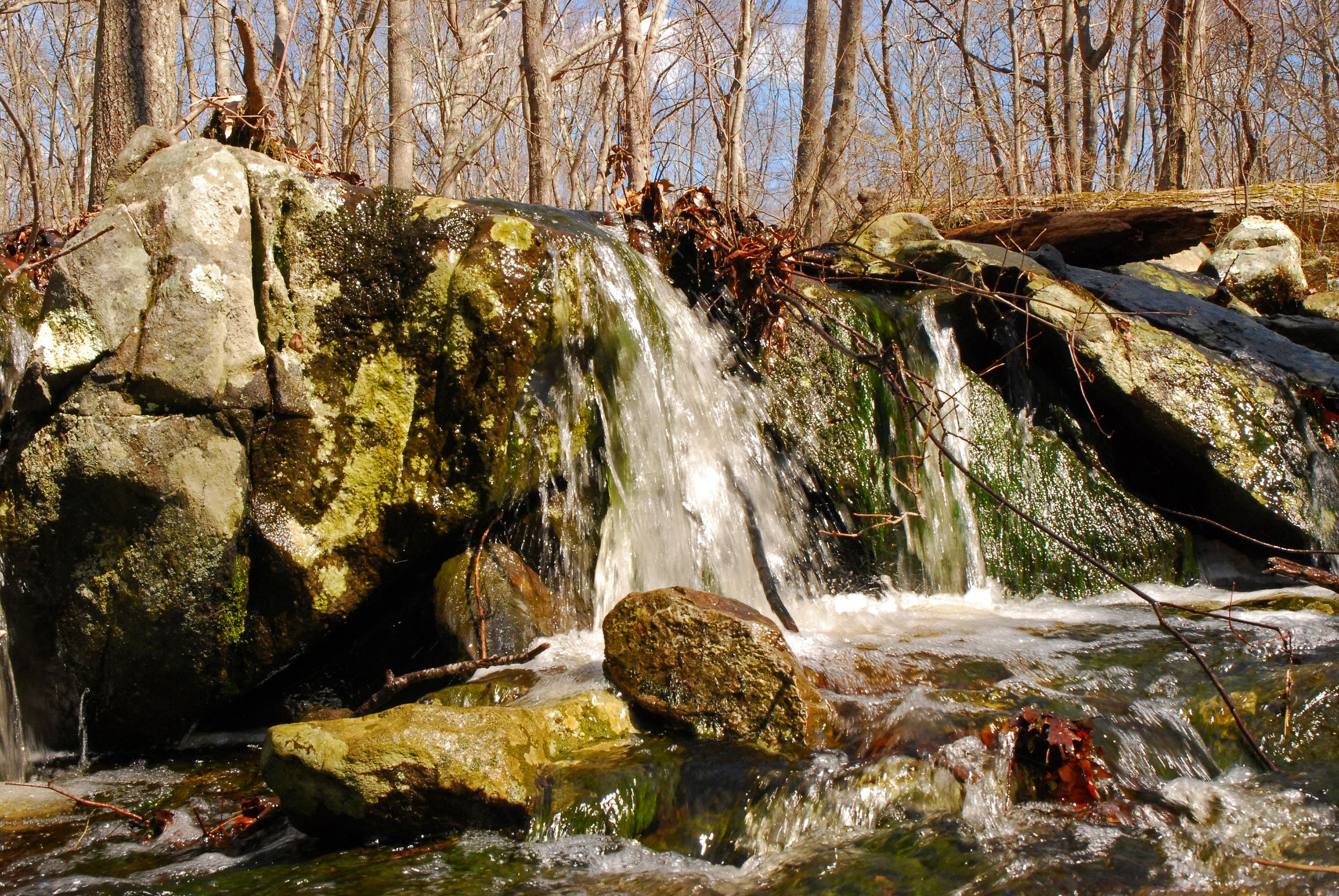 Close-up of a small granite outcrop with water from a seasonal stream spilling over the top.