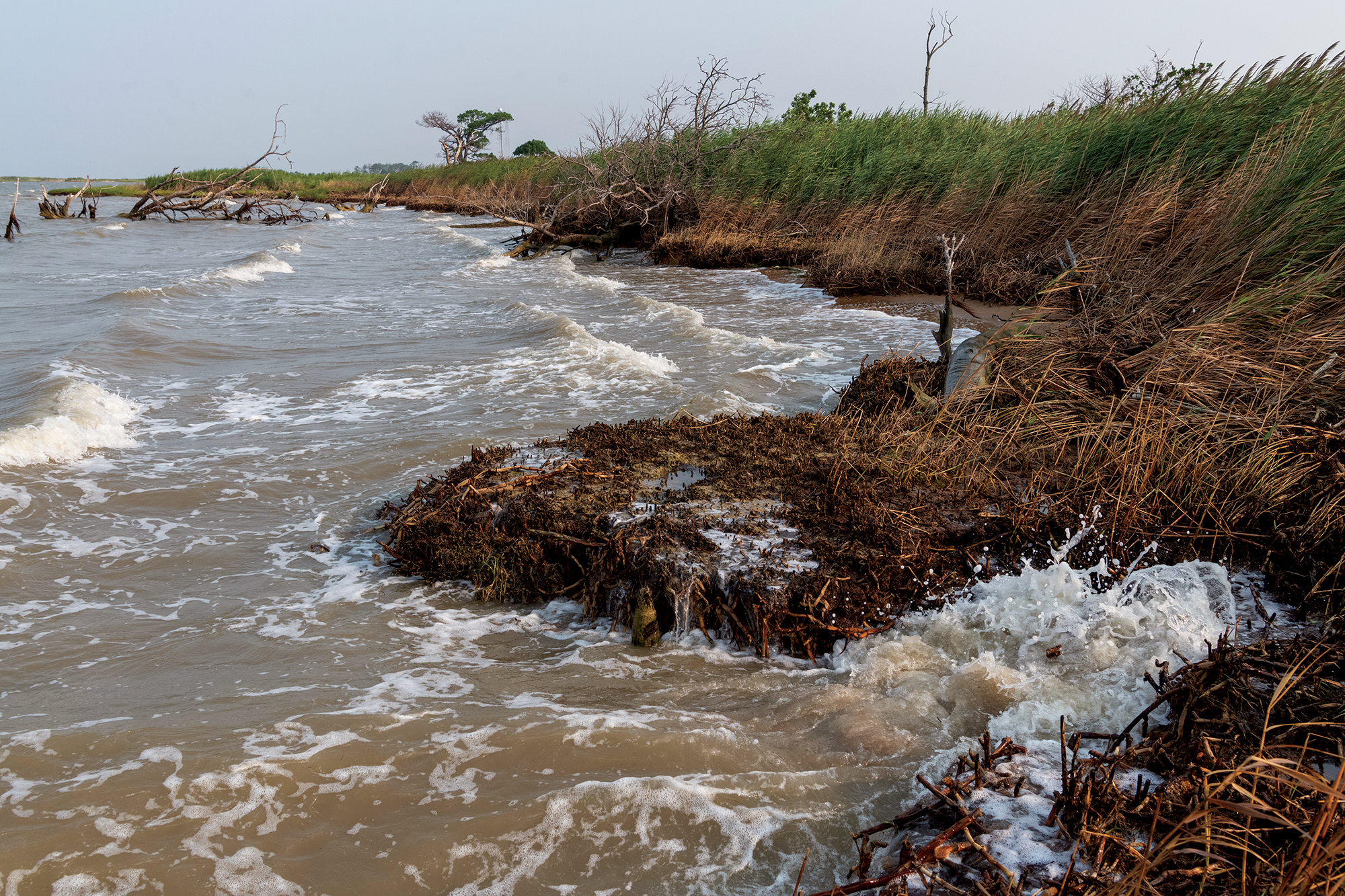 Waves lap against a ragged coastline of explosed marsh.