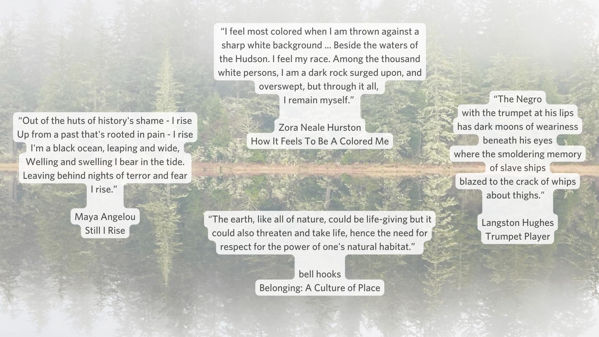 Four quotes from Maya Angelou, Zora Neale Hurston, bell hooks and Langston Hughes are superimposed over a photo of tall fir trees that are reflected in the waters of a still lake.