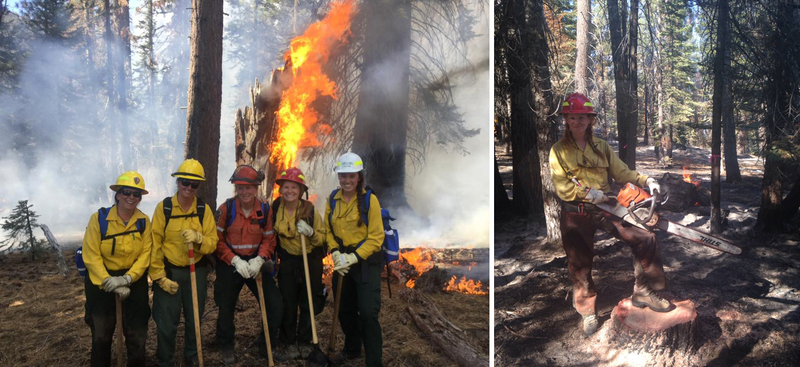 Two photos combined together in a collage. On the left five women pose together in front of a burning tree stump. On the right and woman wearing a red hard hat holds a large chain saw.  