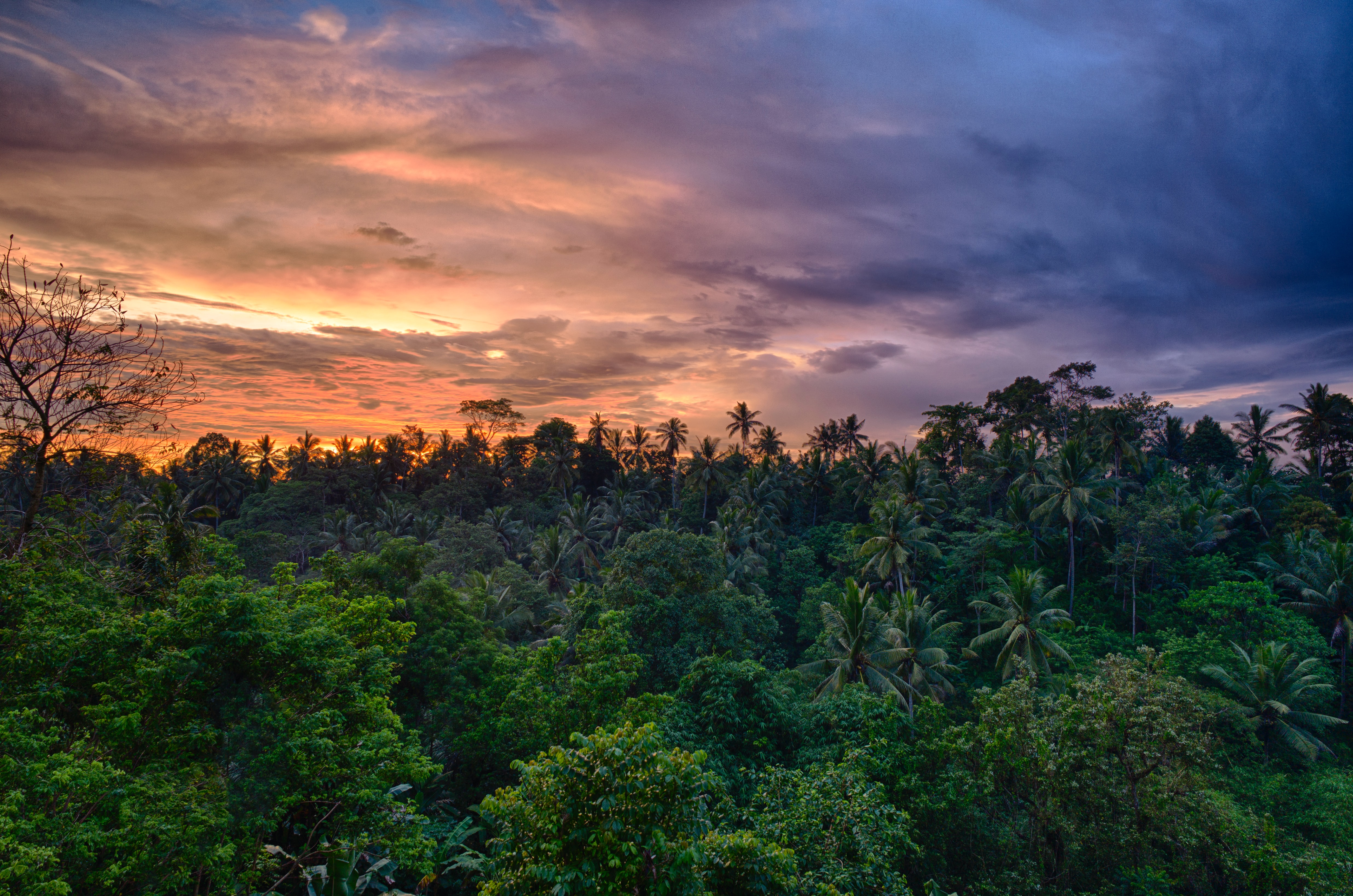 a colorful sunset over a lush, tropical forest in Indonesia