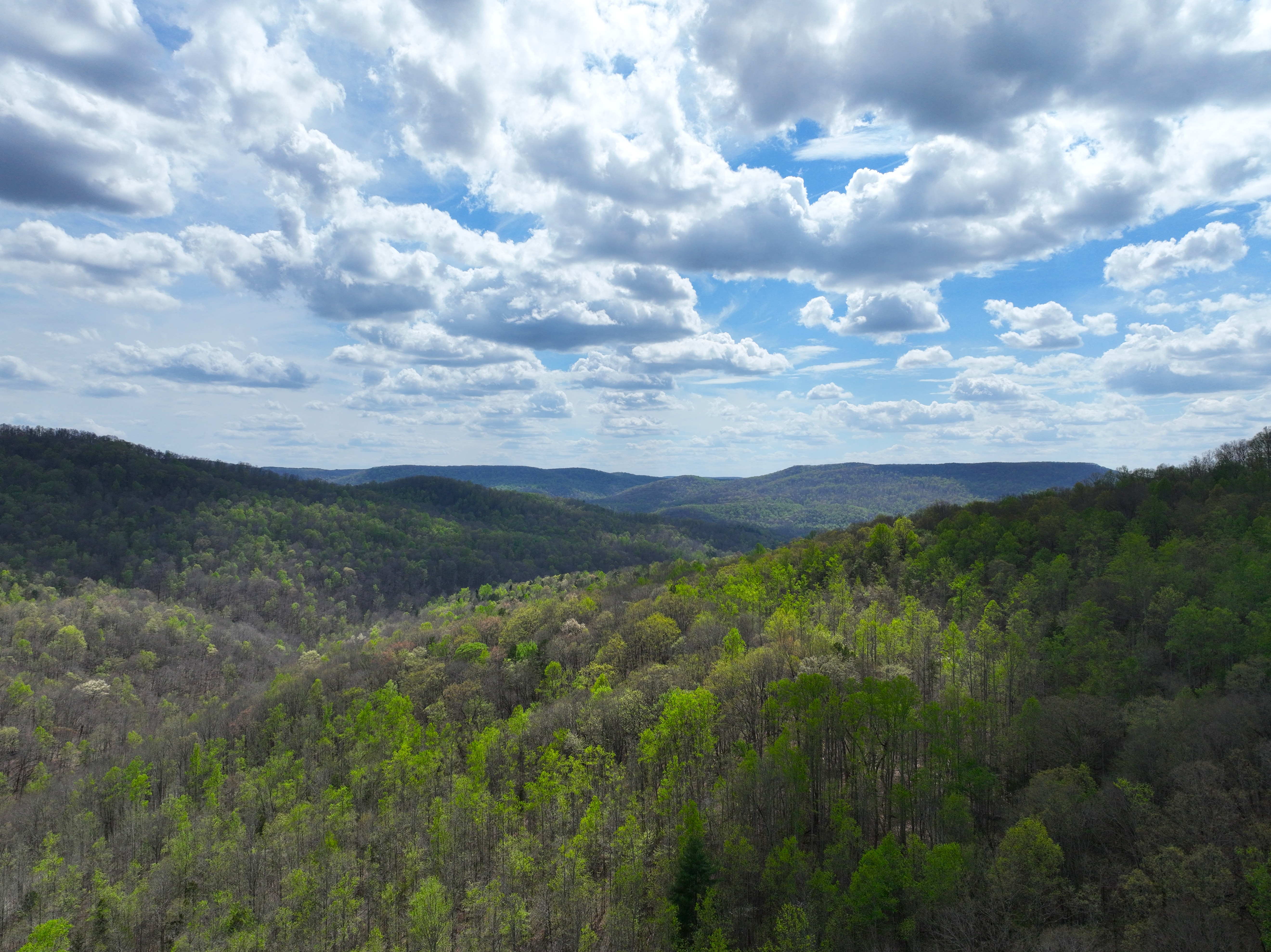 An aerial view of Lost Creek forest.