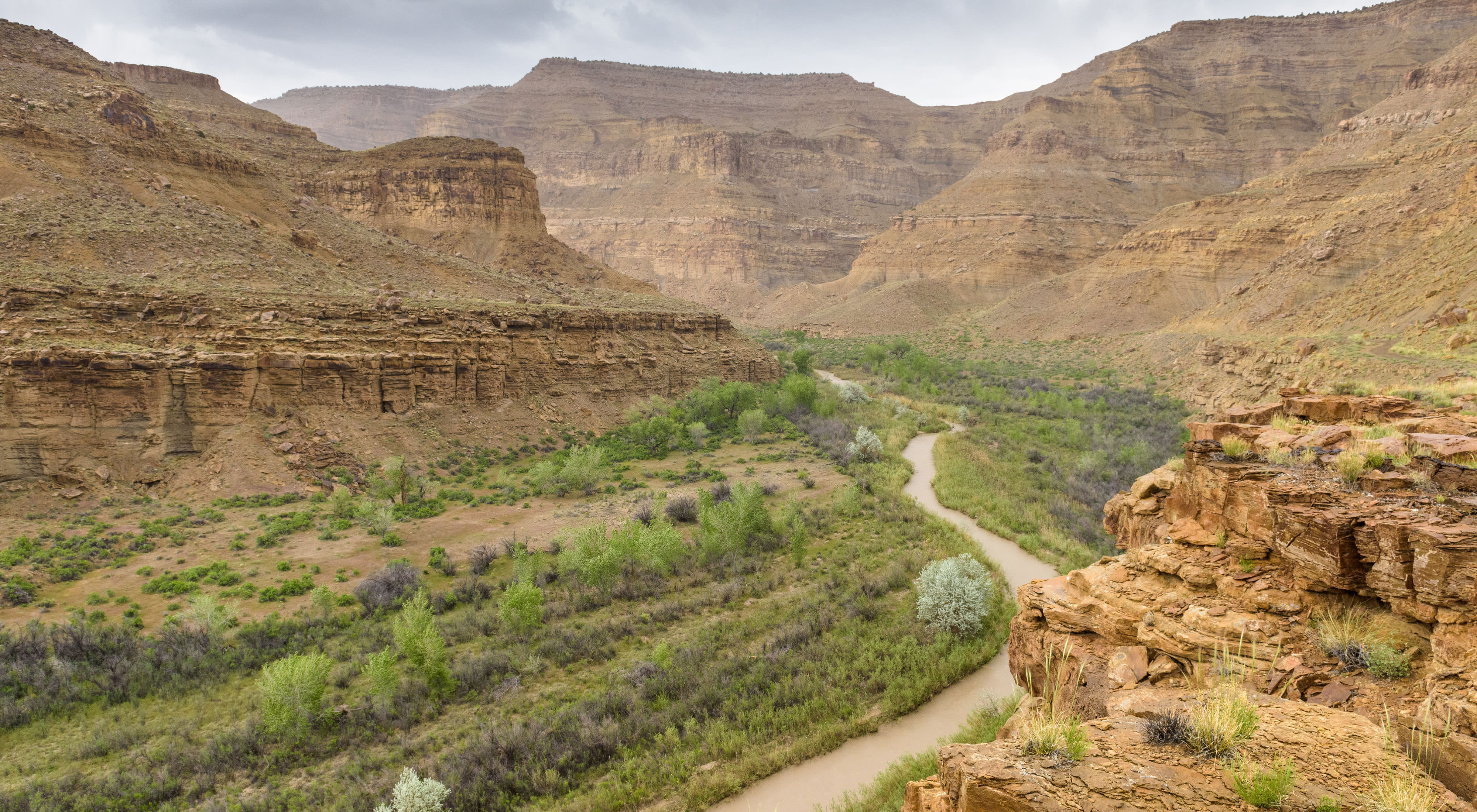 A river winds through a deep canyon lined with red cliffs. 