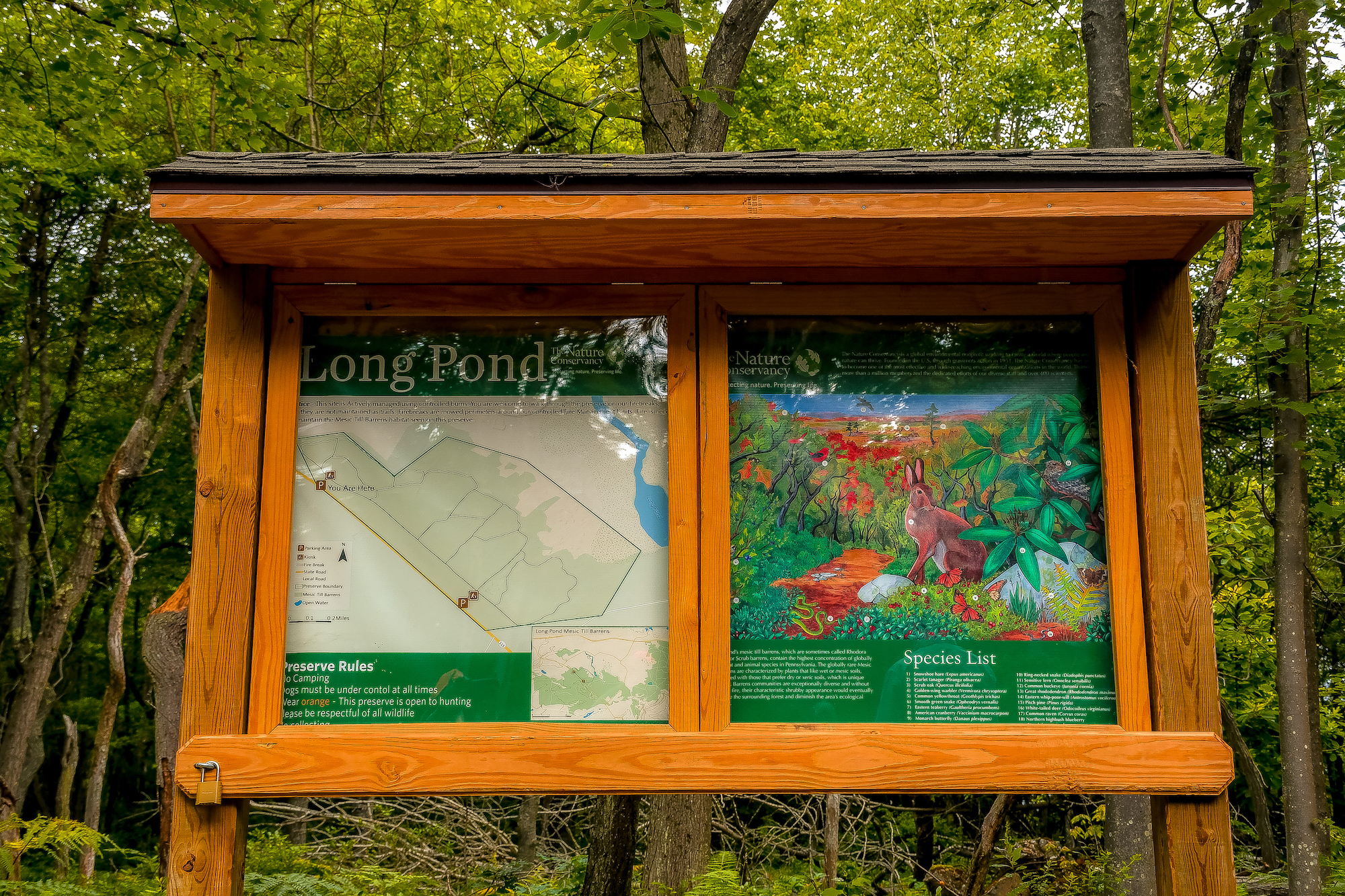 A wooden kiosk featuring large maps site in the forest.