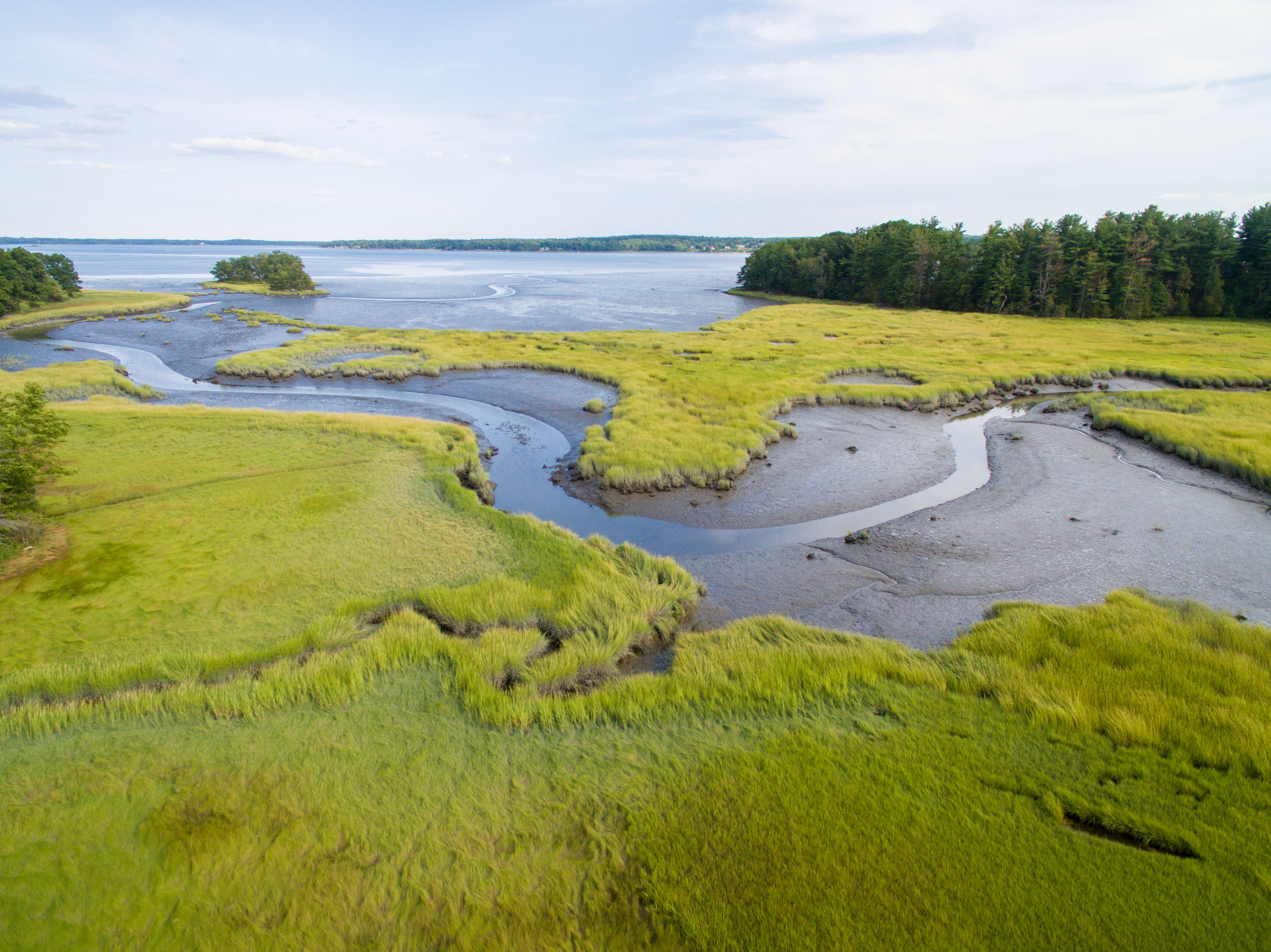 Lubberland Creek Salt Marsh.