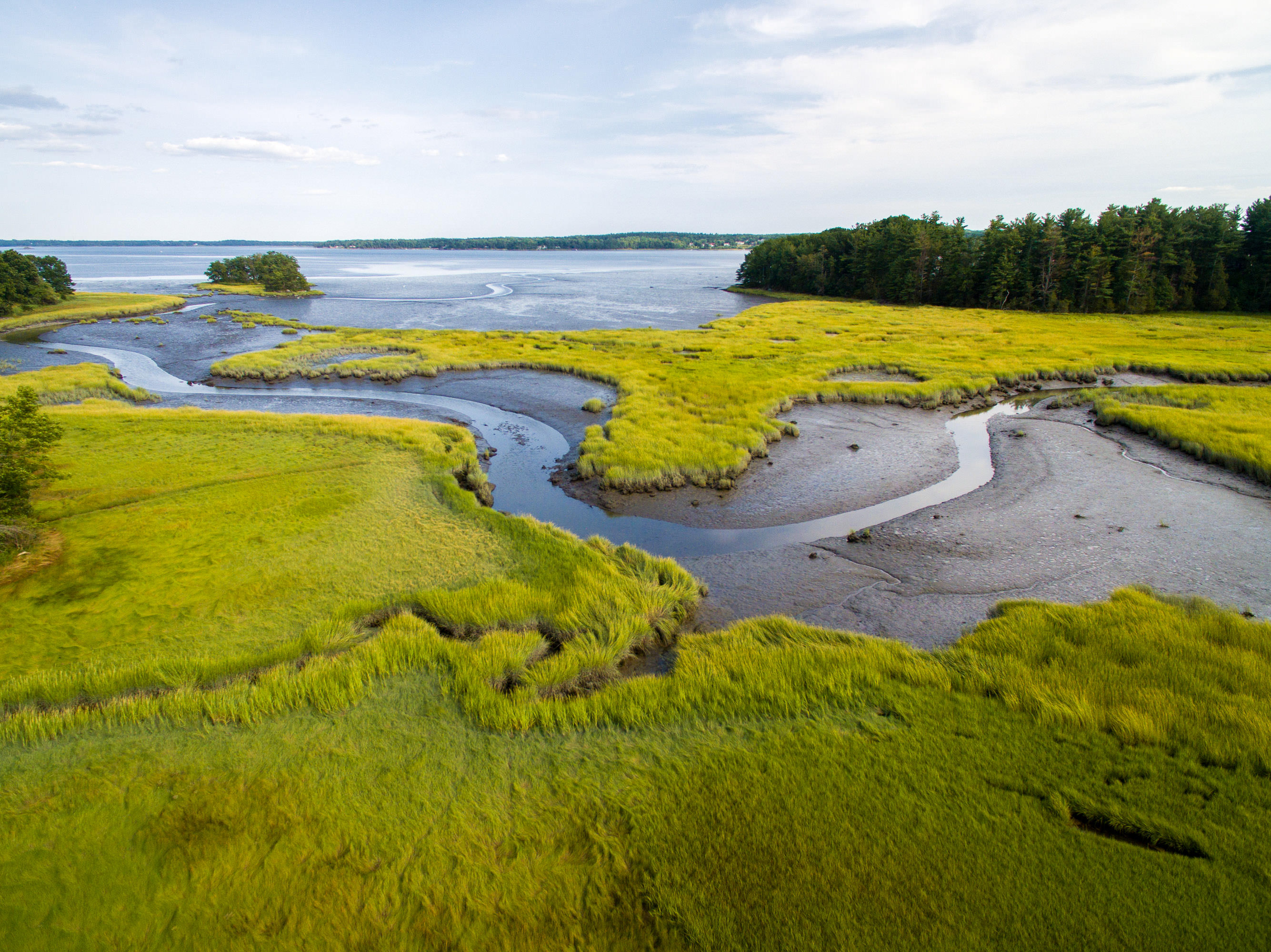 Green winding salt marsh.