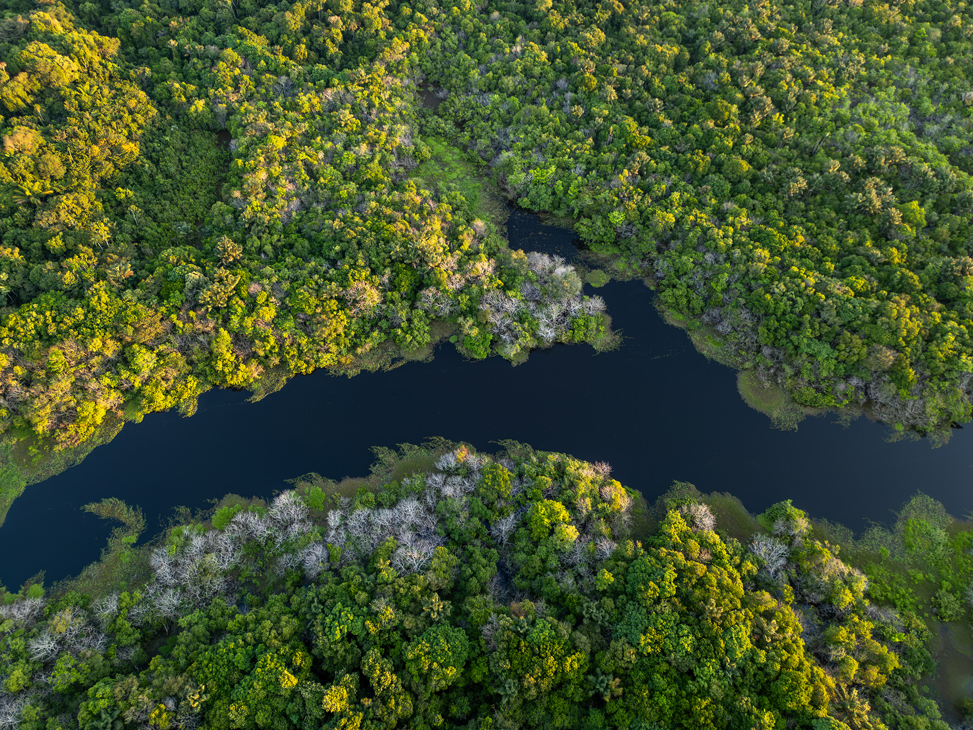 Vista aérea de una zona de la Amazonía brasileña. 