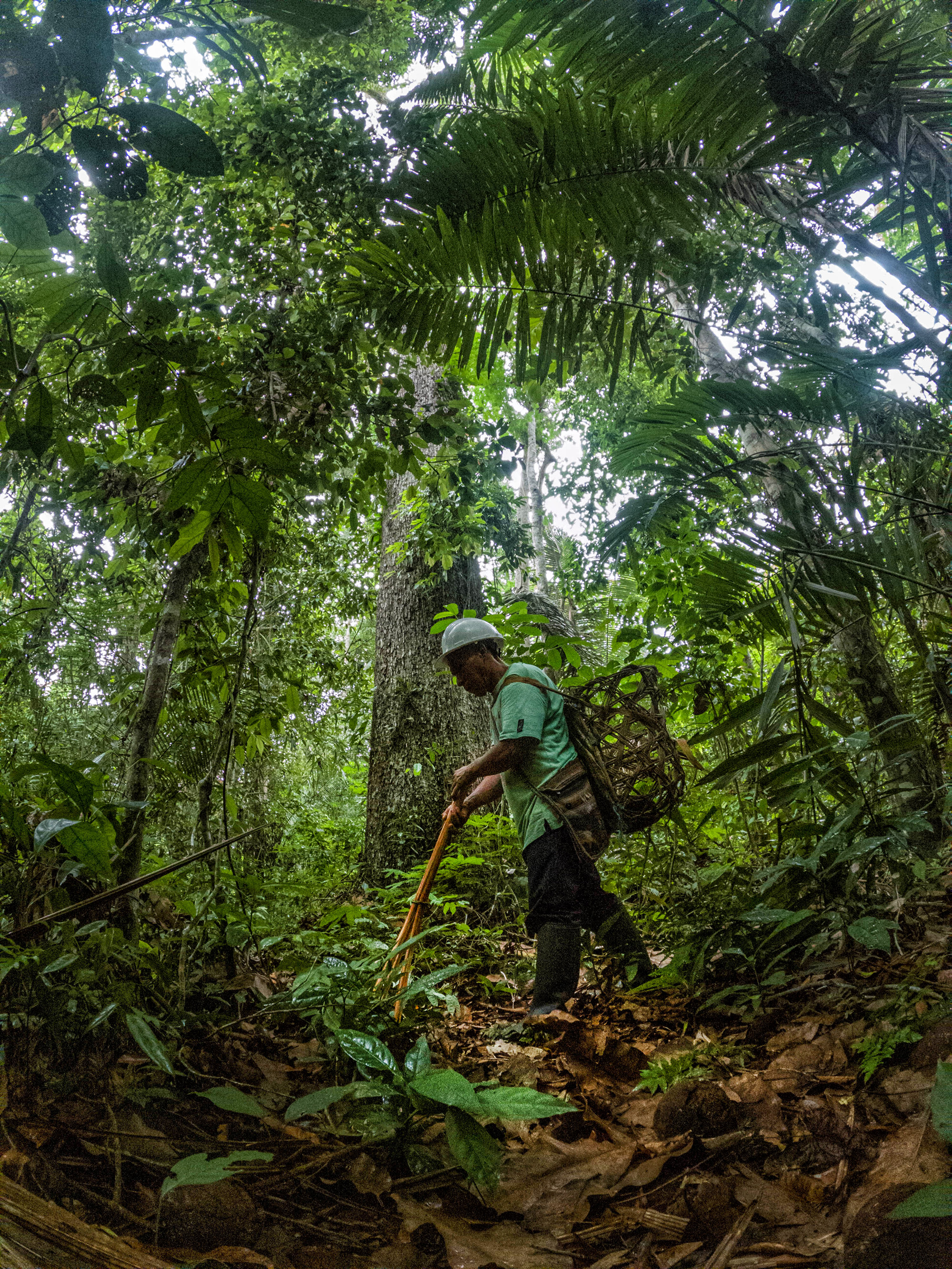 Trabajador del agro en medio de la selva. 