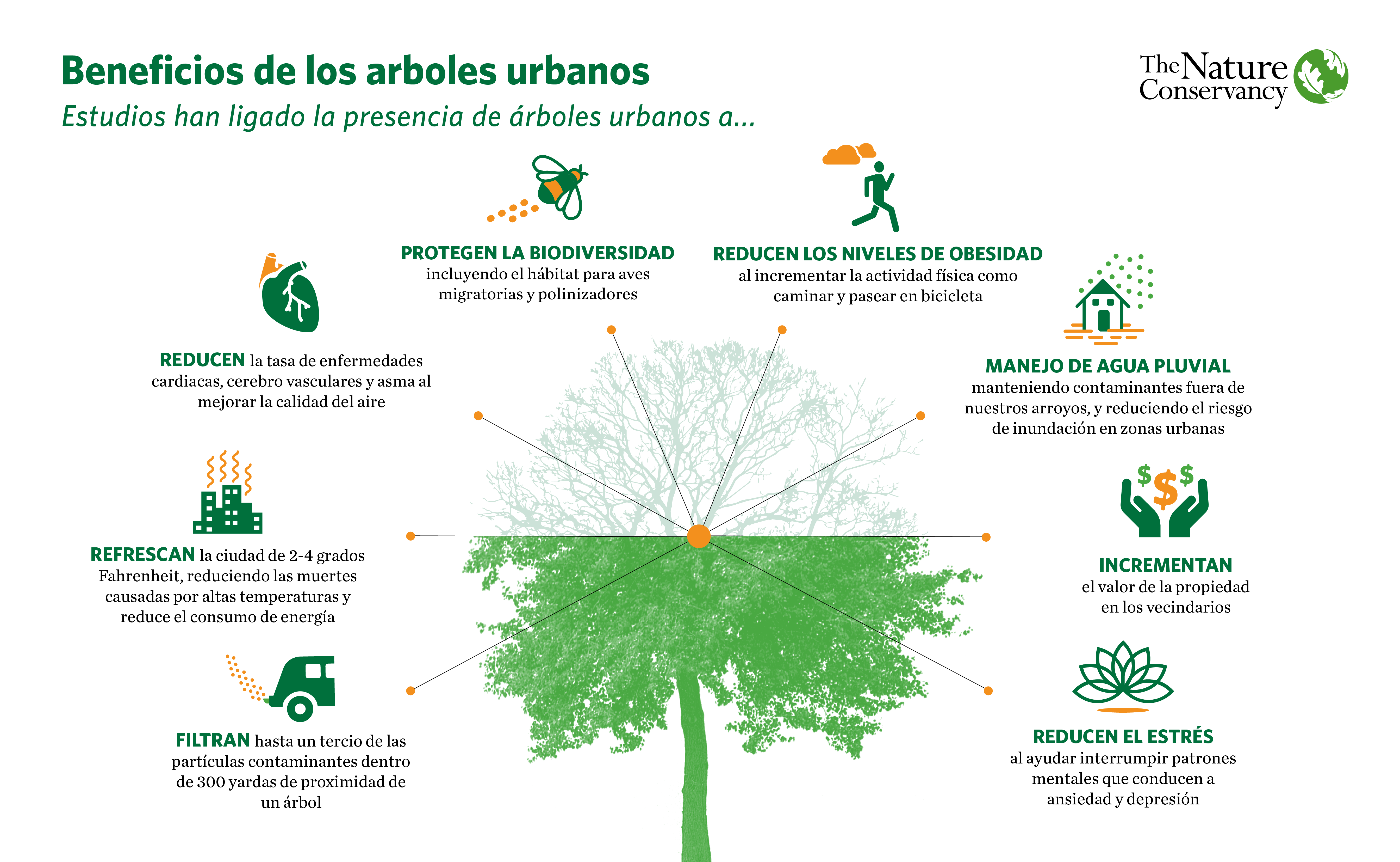 An infographic showing eight health benefits of urban trees. 
