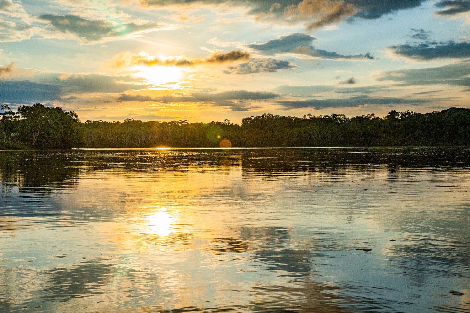 sunset over body of water surrounded by trees