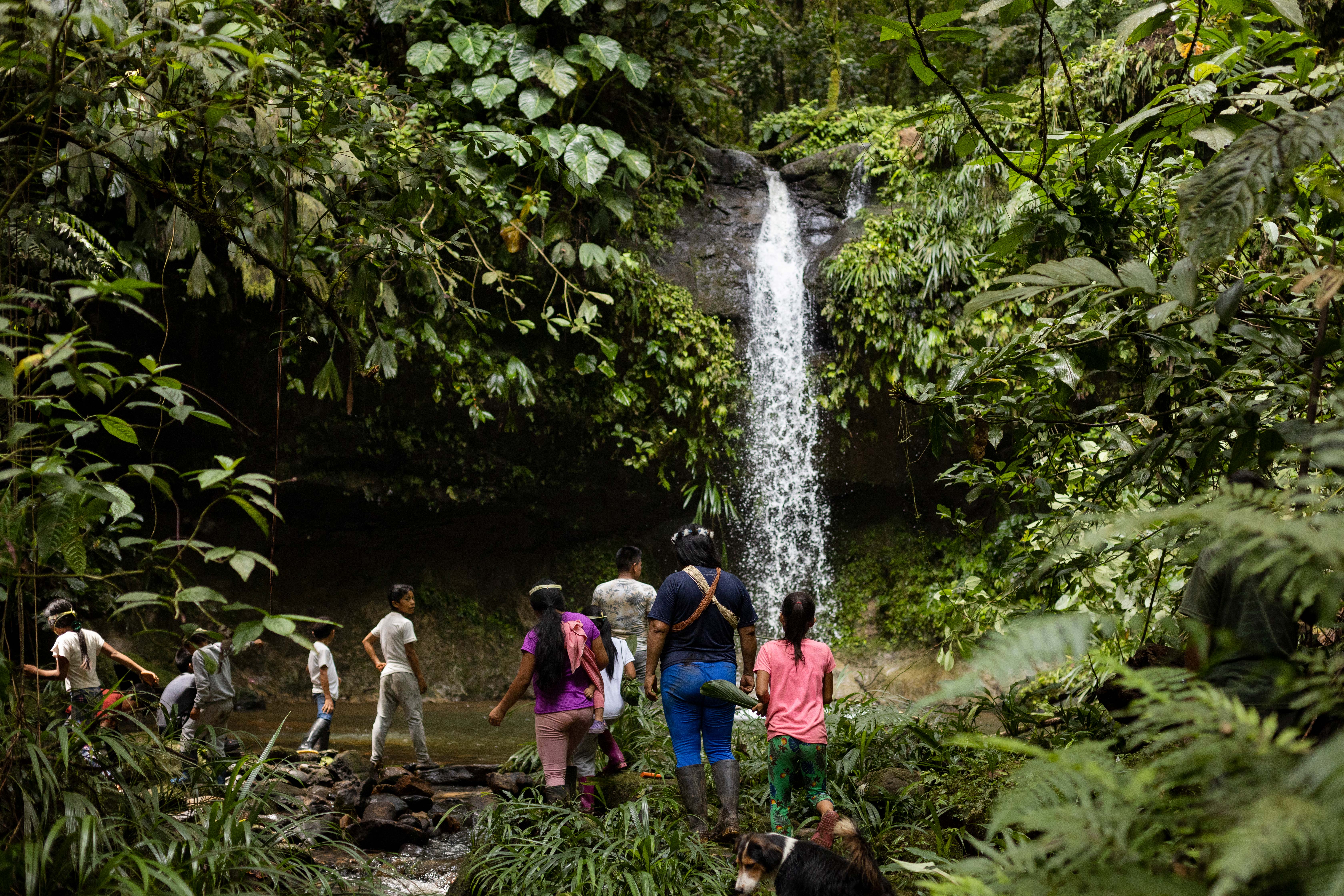 Un grupo de cinco personas se encuentra cerca de una cascada en la jungla exuberante, rodeado de vegetación y la bruma que emana del agua que cae en cascada.