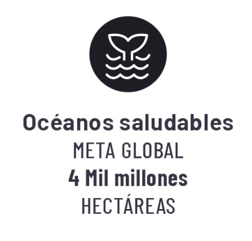 Ícono de océanos saludables, con la cola de un cetáceo asomando entre ondas como olas, todo en líneas blancas sobre un fondo azul oscuro. 