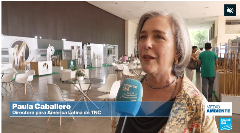 Paula Caballero entrevistada sobre prácticas regenerativas. 