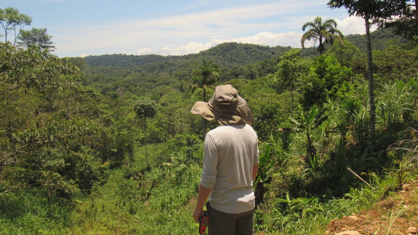 Hombre contempla el bosque.