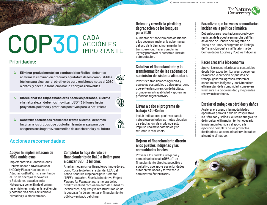 Tablero de resultados COP30.