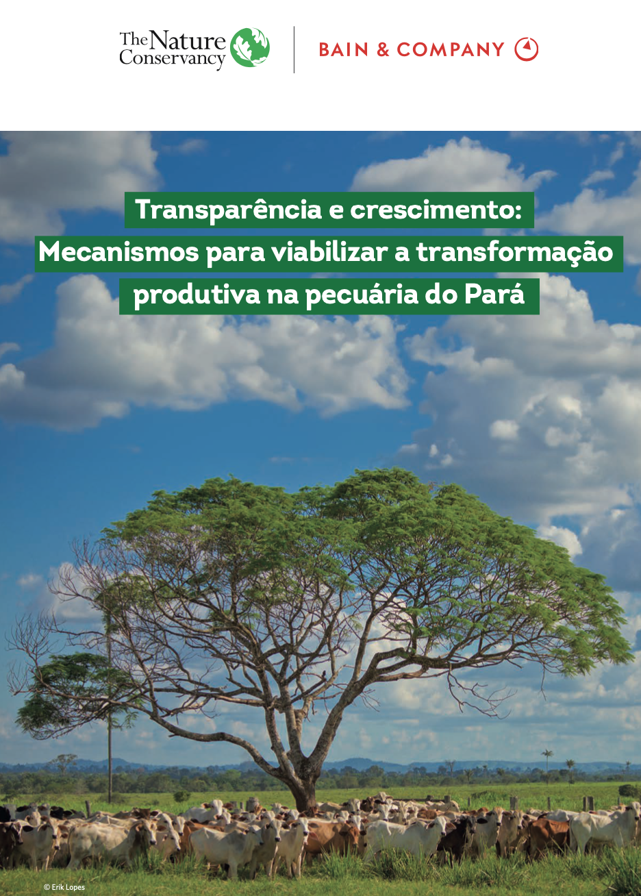 Portada del estudio. 