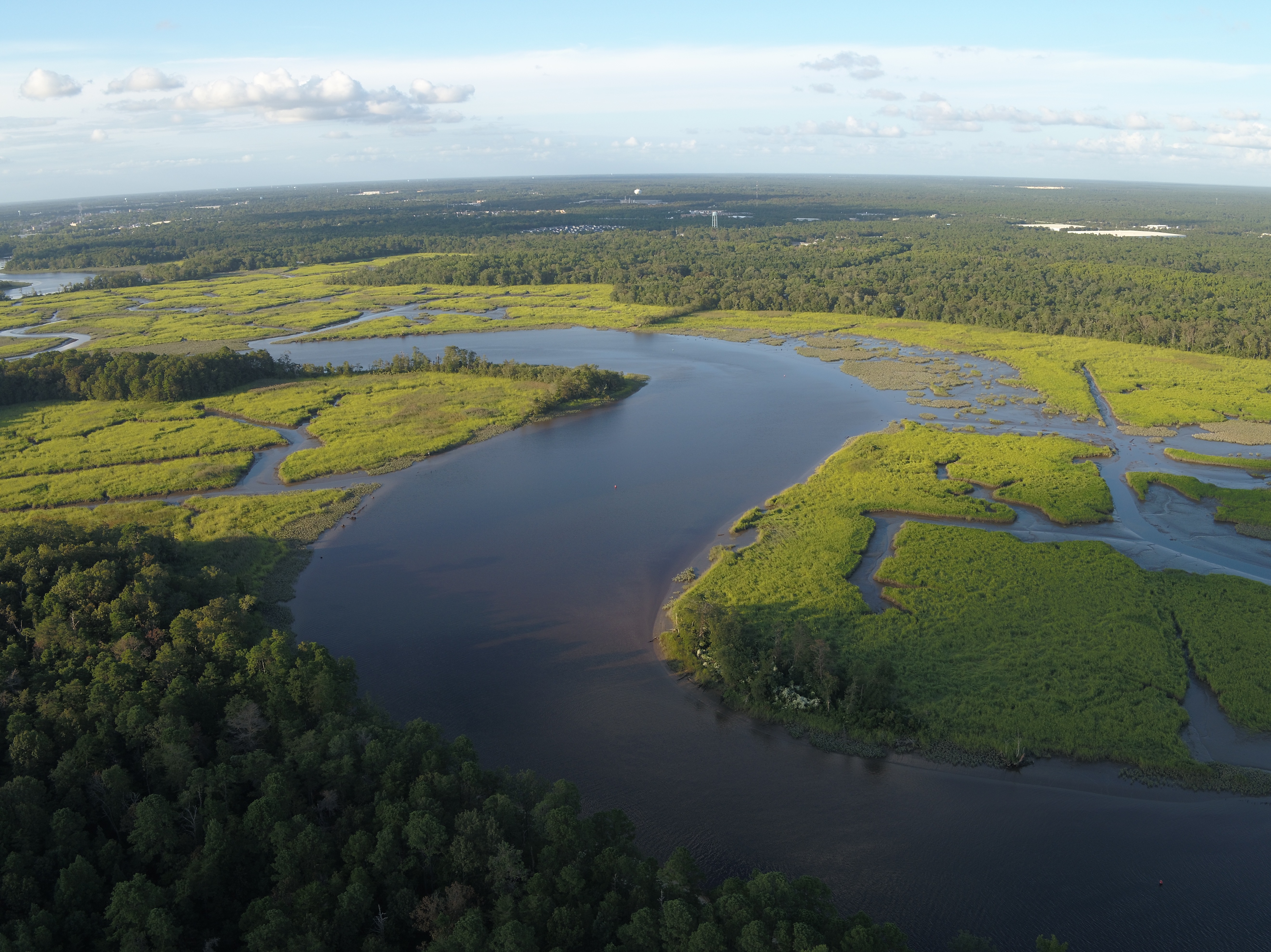 Aerial view of a stream and wetlands at Maurice River Bluffs Preserve.