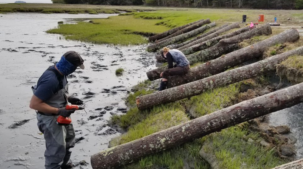 Workers use drills to attach 10-foot logs to a bank.