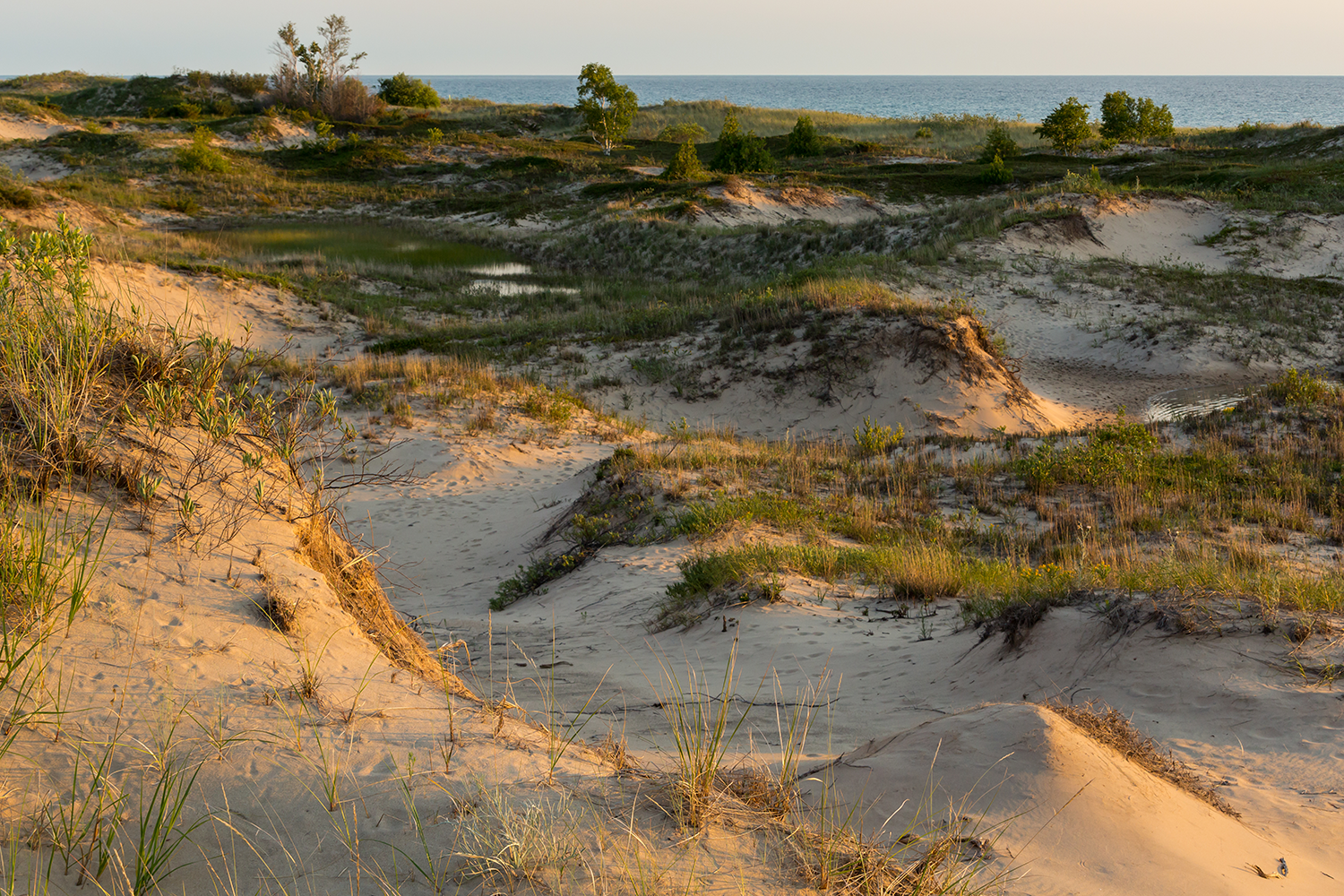 Rolling sand dunes with green grass along a lake shore. 