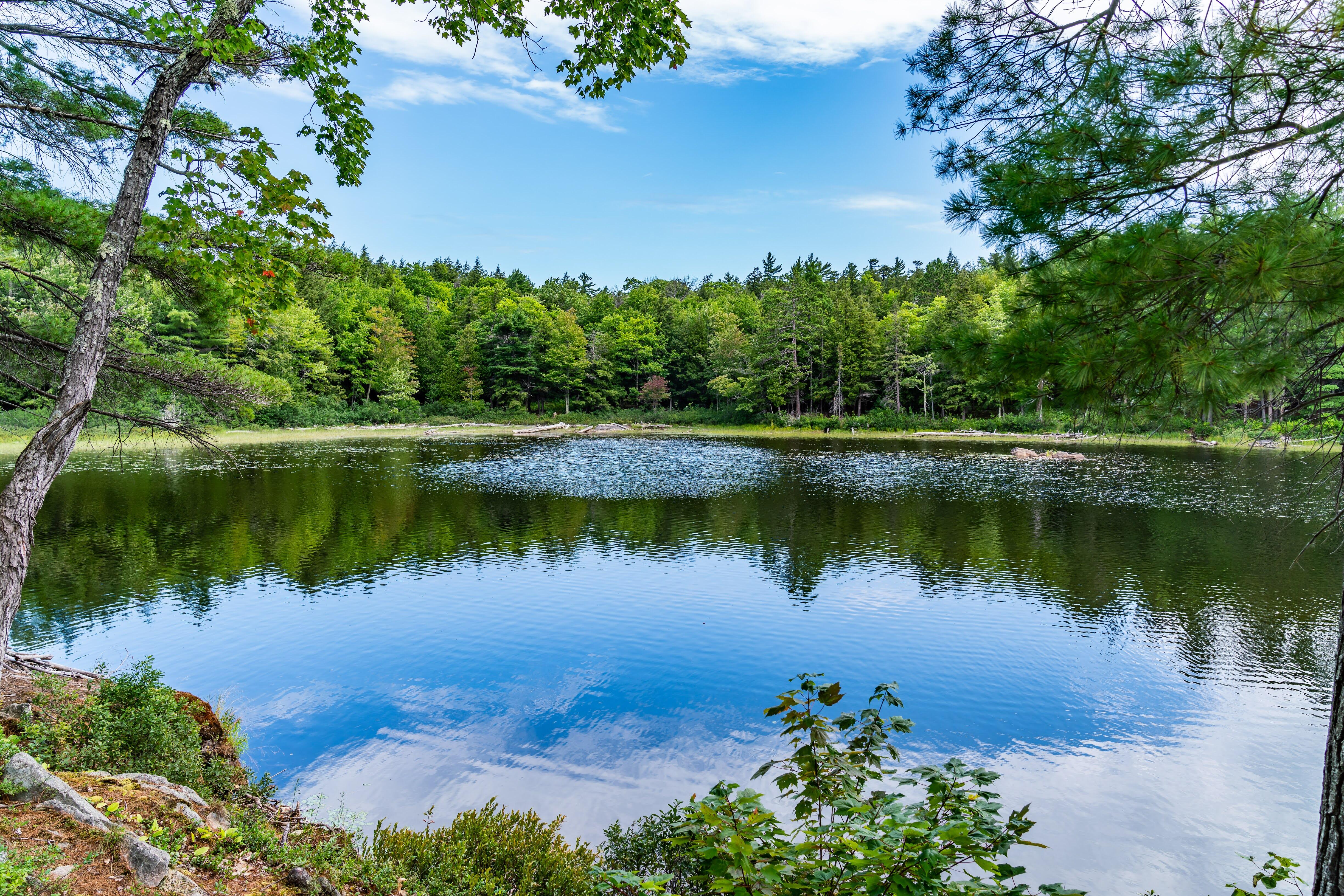 A bright blue sky reflected in a lake surrounded by greenery.