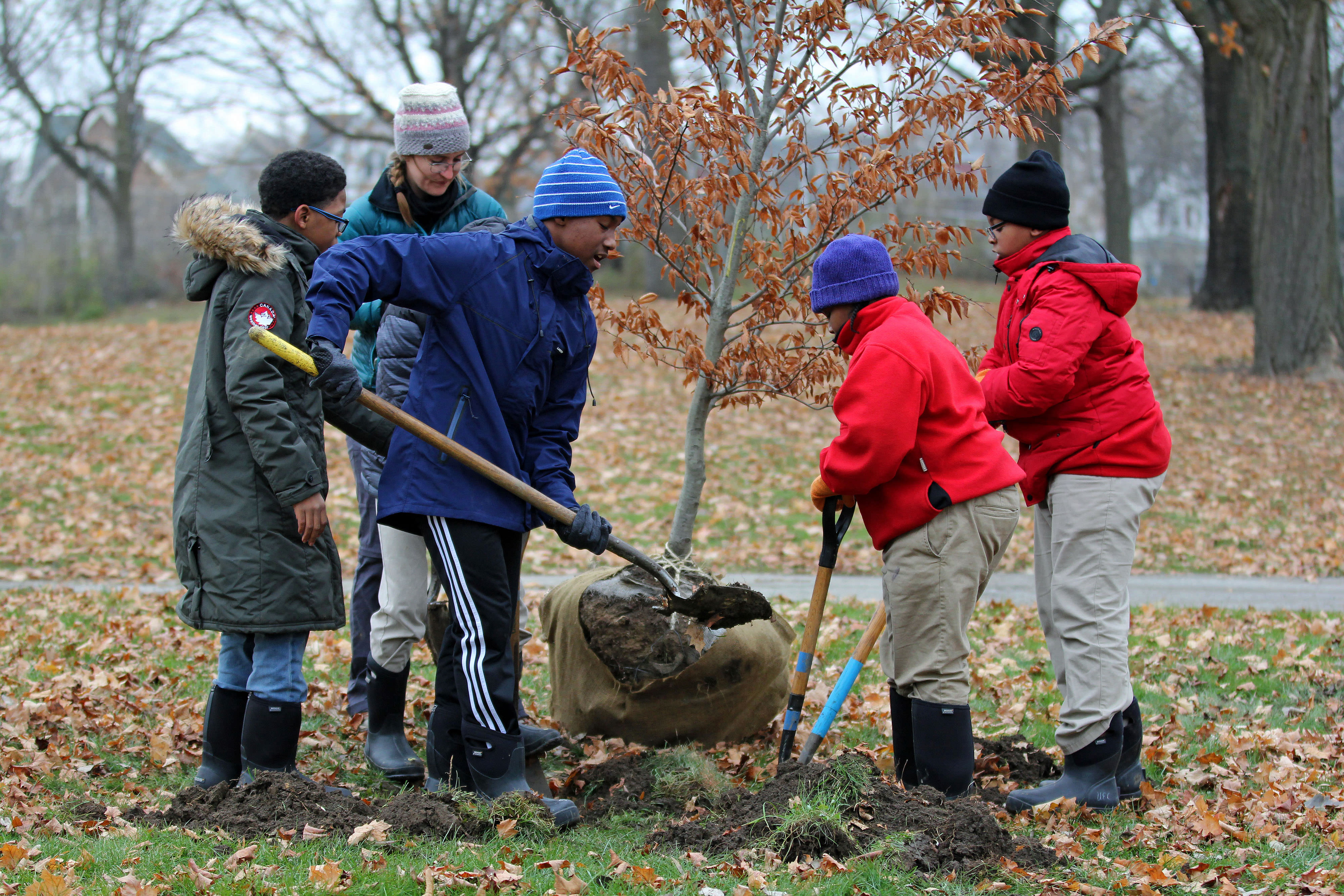 Students plant trees with the Urban Ecology Center in Washington Park.