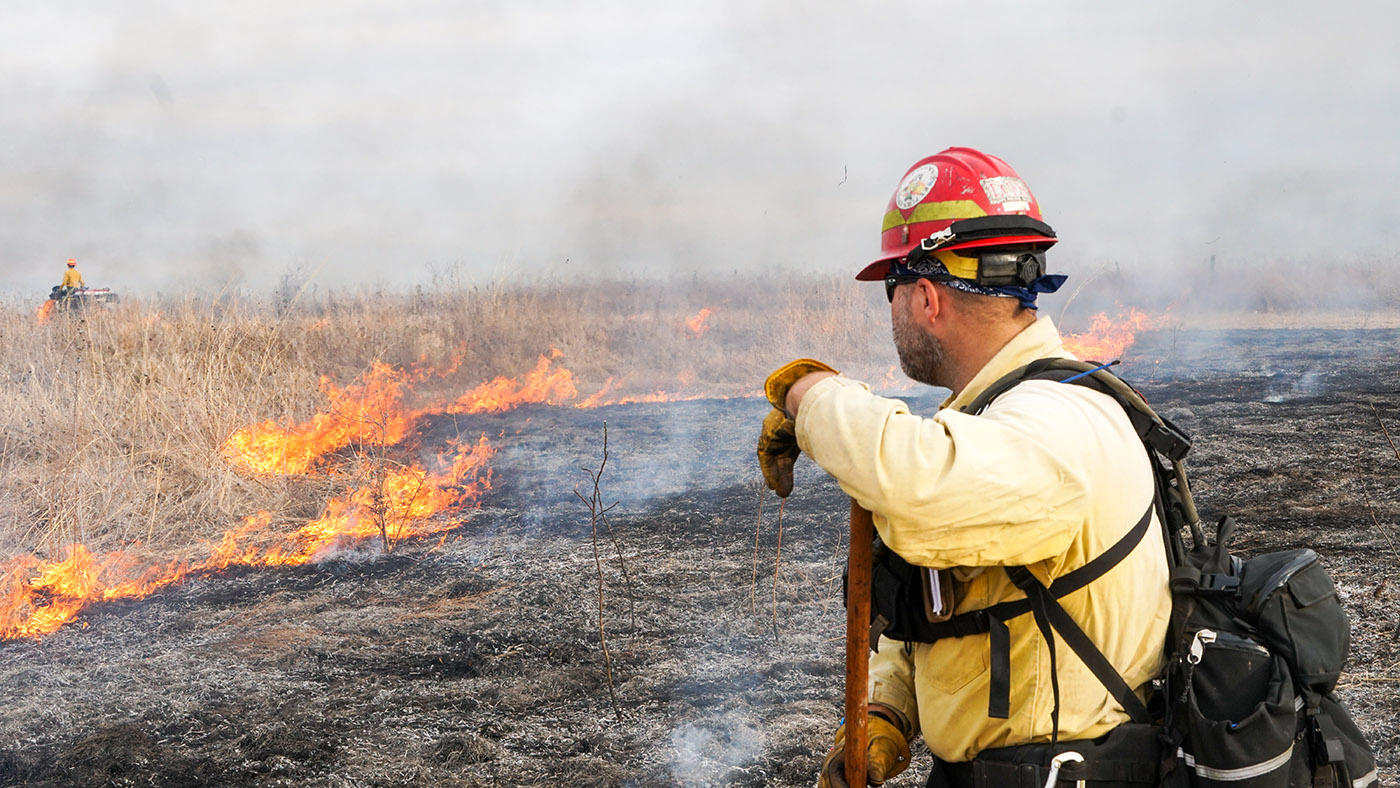 Man standing in front of prescribed fire.