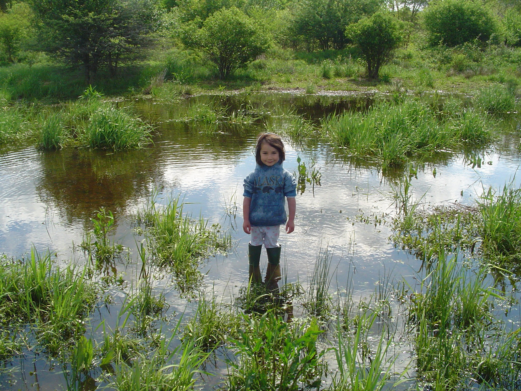 A little girl in rubber boots standing in ankle-deep water with marsh grasses scattered nearby.