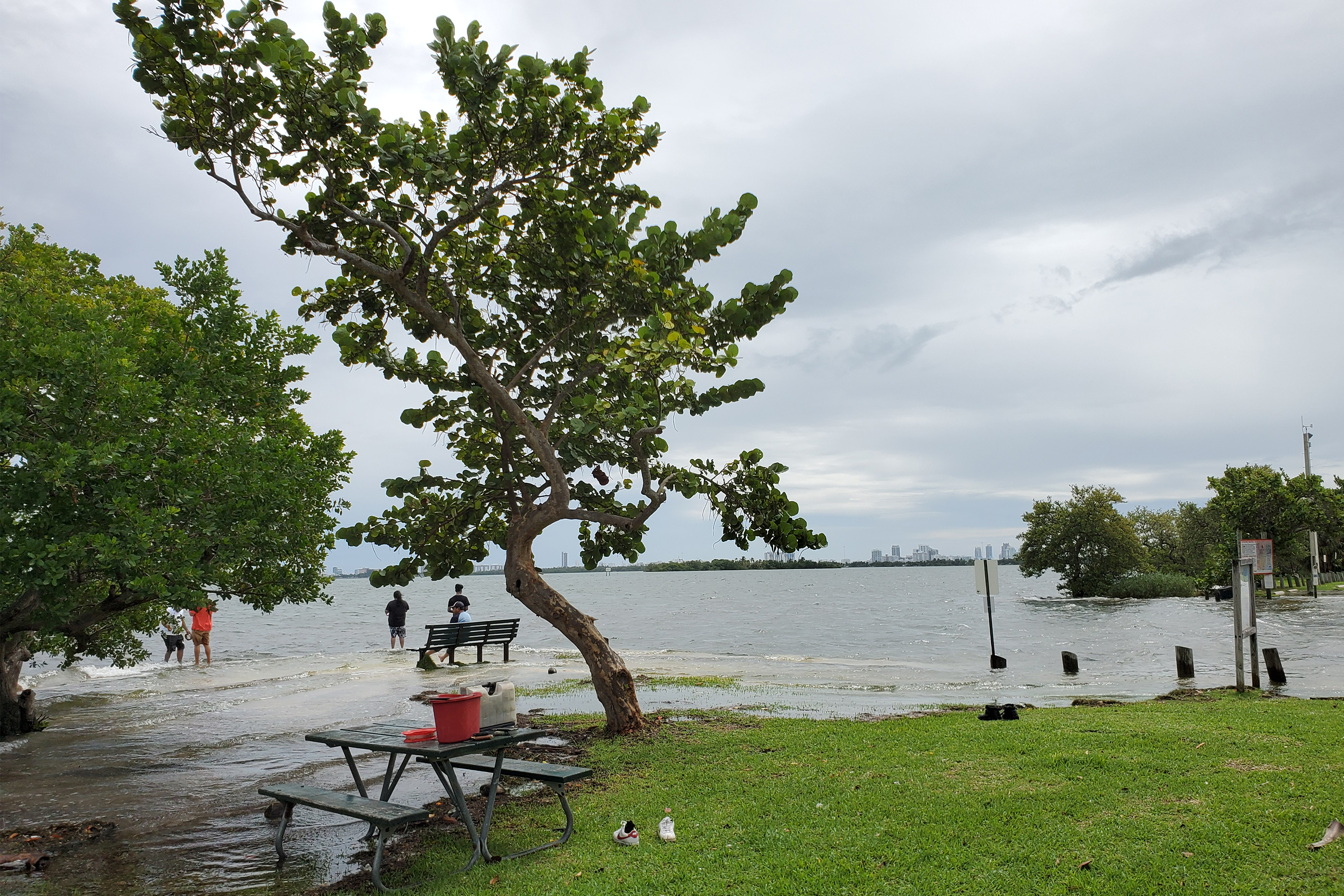 Morningside Park in Miami Florida during a King tide spills water over the shoreline, covering benches and picnic tables. 