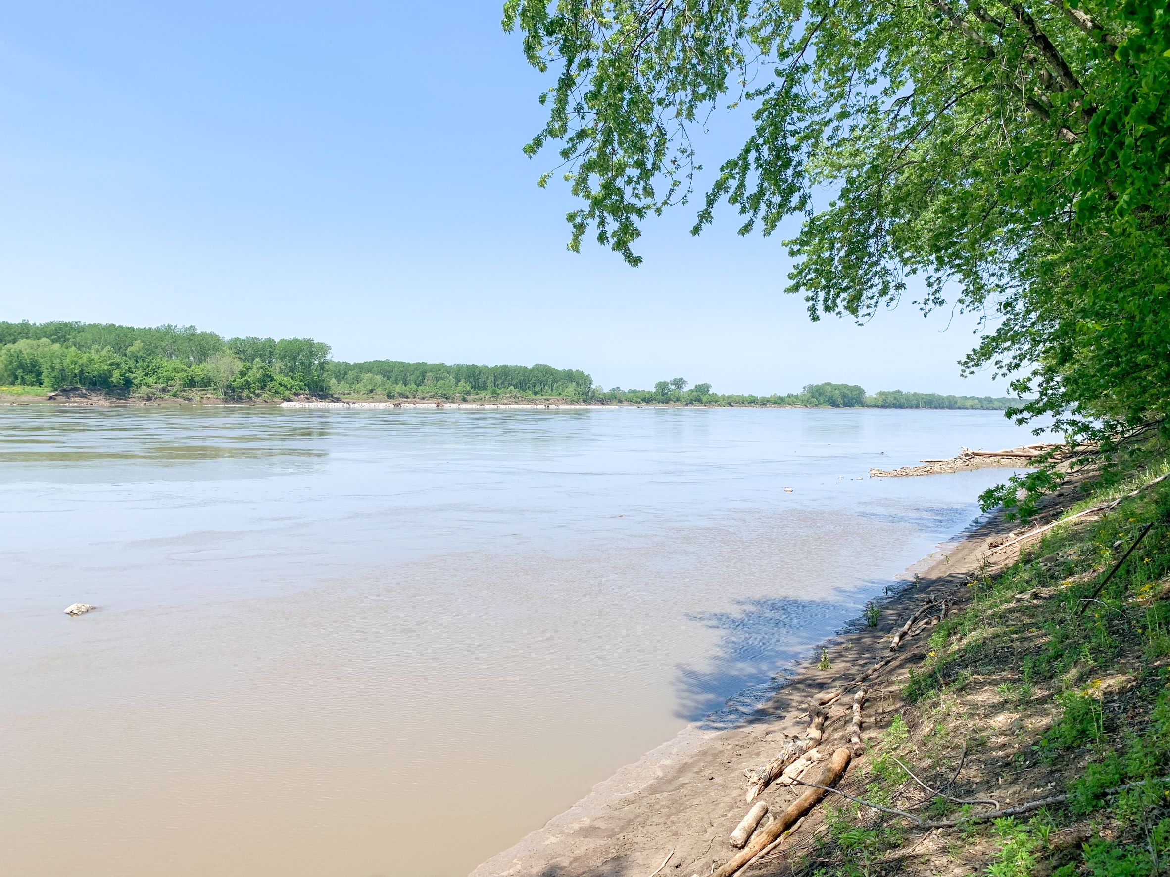 A river running between two forested banks on a sunny day. 