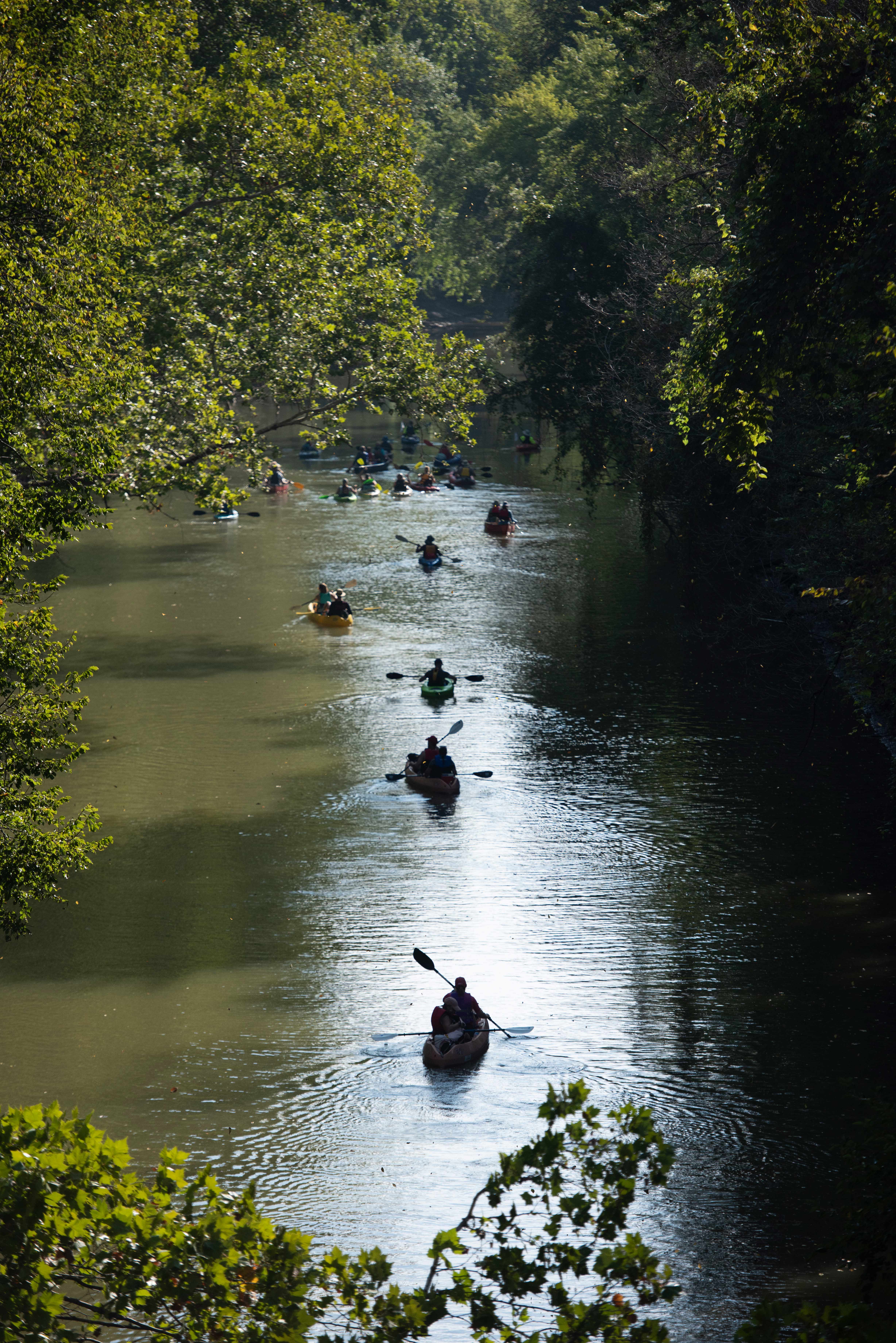 The silhouettes of five people in kayaks in a creek.