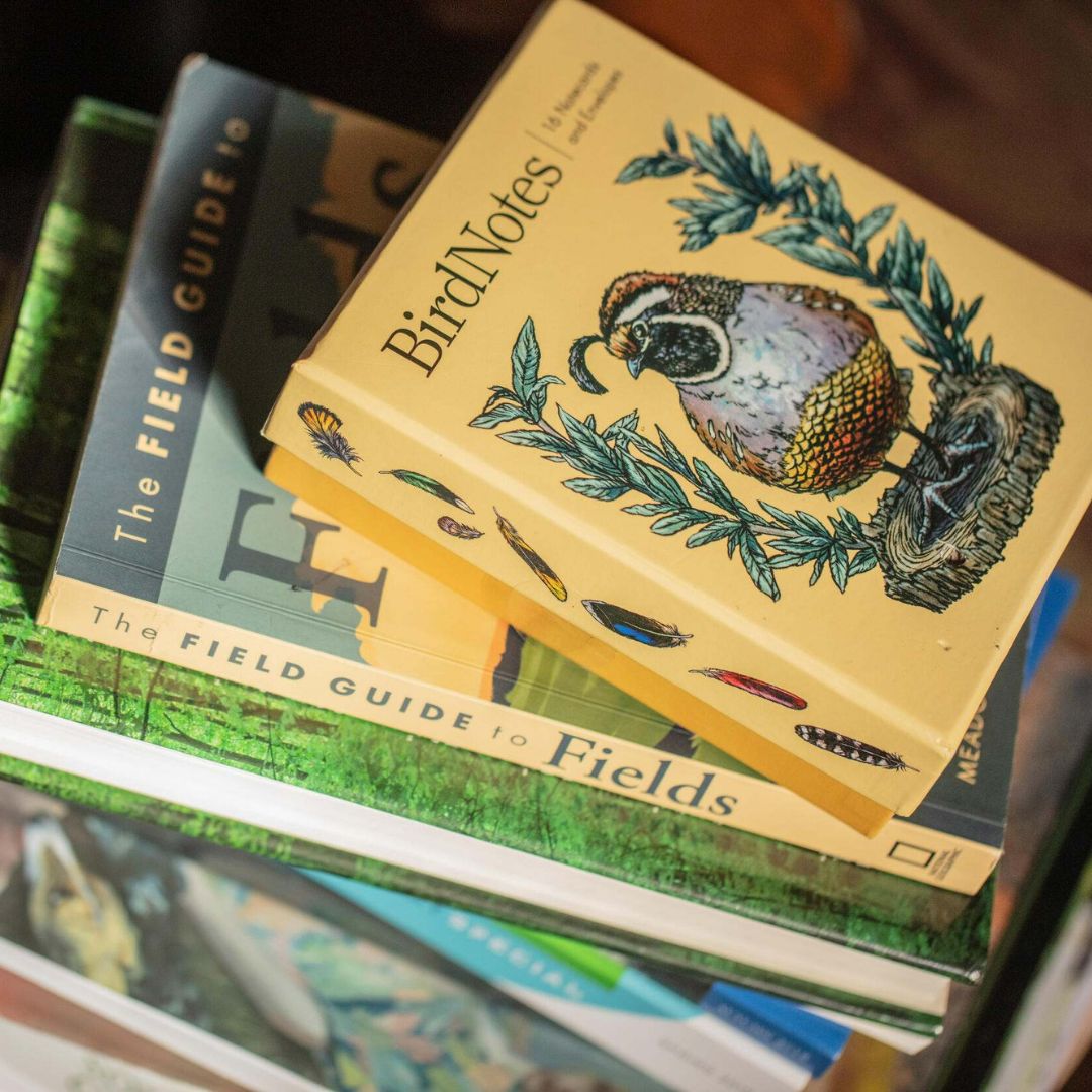 A stack of field guides. 