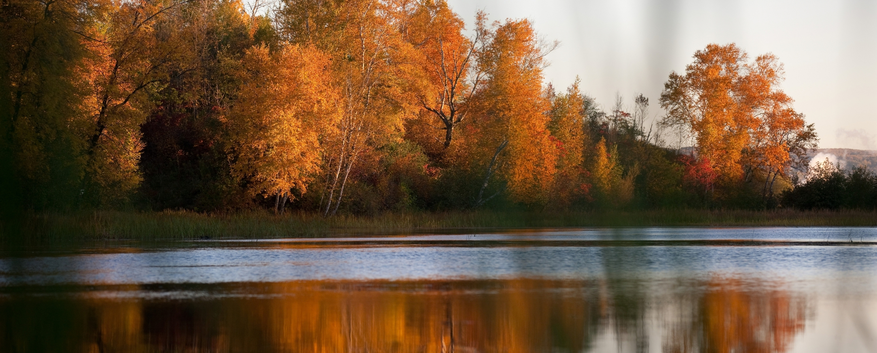 A tranquil lakeside landscape showcases a forest glowing with fall color. Tall deciduous trees with golden-yellow and deep orange leaves stand along the shoreline, catching the warm light of the sun. Their reflections ripple gently across the lake, creating an abstract pattern of amber, orange, and gold on the water's surface. Grasses and wetland vegetation fringe the shoreline, while darker evergreen and shadowed trees add contrast among the bright foliage. The image captures the peaceful beauty of an autumn day at a forested lake.