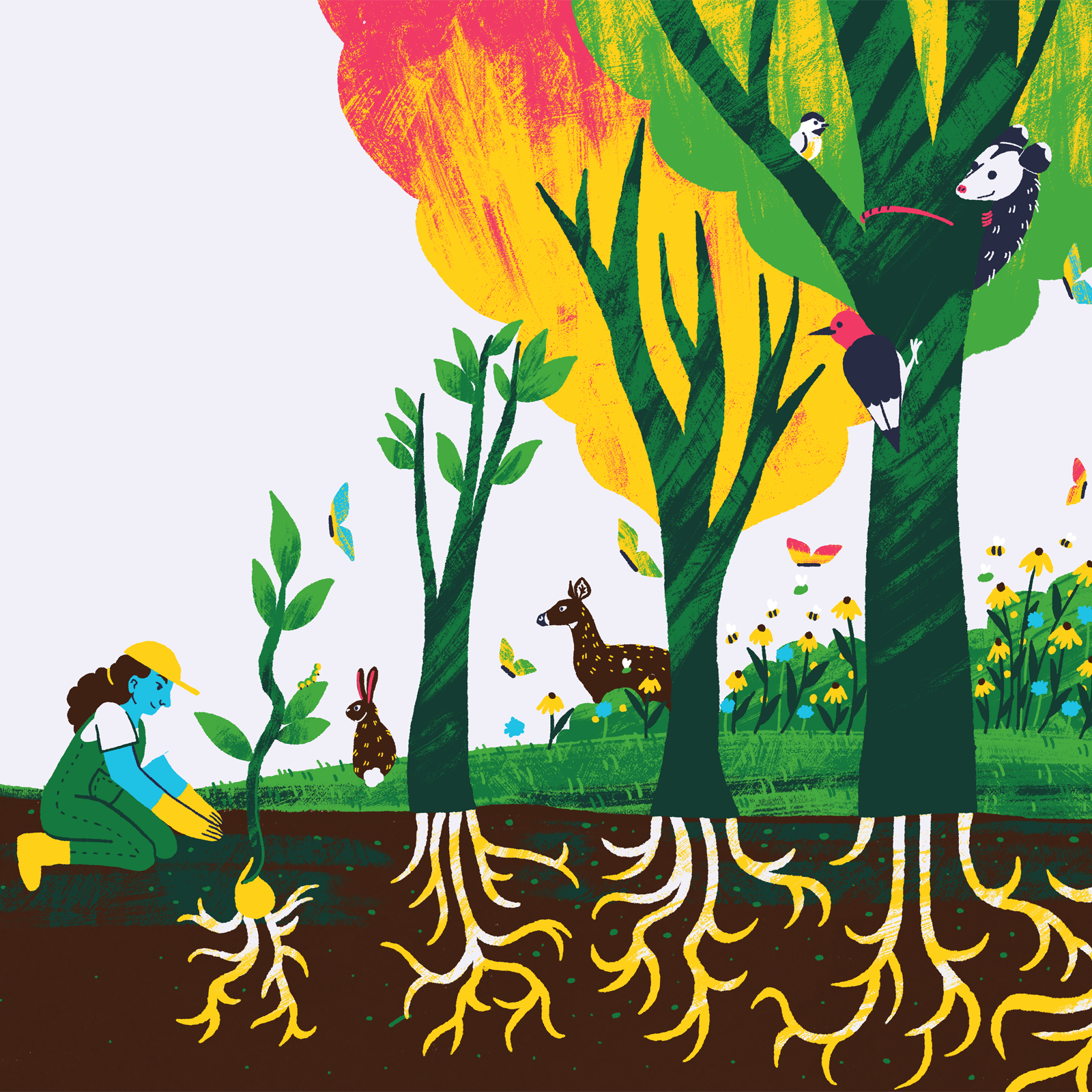 Colorful illustration of a person kneeling and planting a sapling in a forest landscape. Mature trees with extensive root systems fill the scene. Birds perch in the trees, while a deer, rabbit, butterflies, bees, and wildflowers appear throughout the habitat. The roots of the trees are prominently shown below ground, emphasizing how a single planted seedling can contribute to a larger, interconnected and thriving ecosystem.