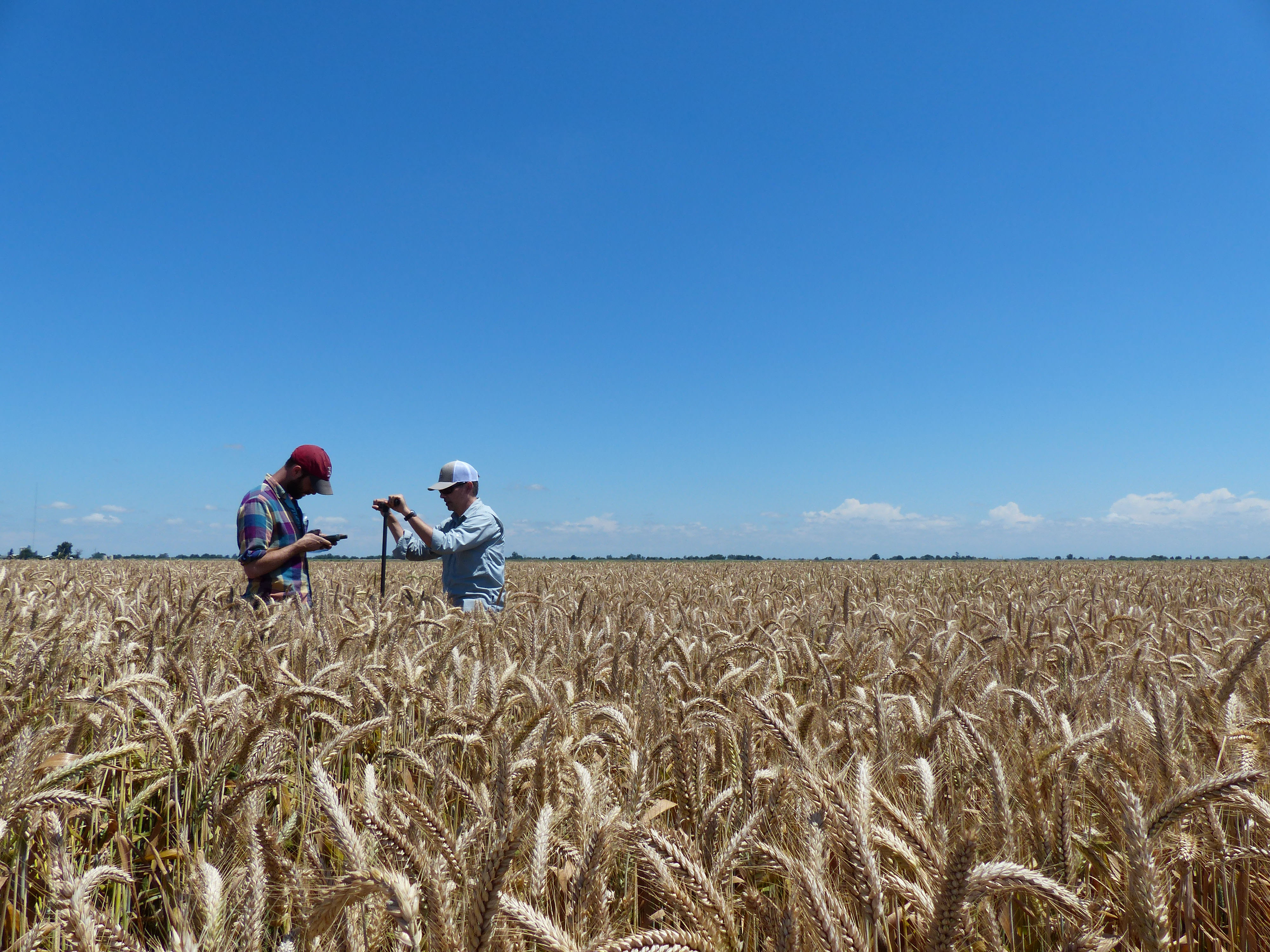 TNC scientist Rodd Kelsey and NatureNet Fellow Stephen Wood collecting soil samples.