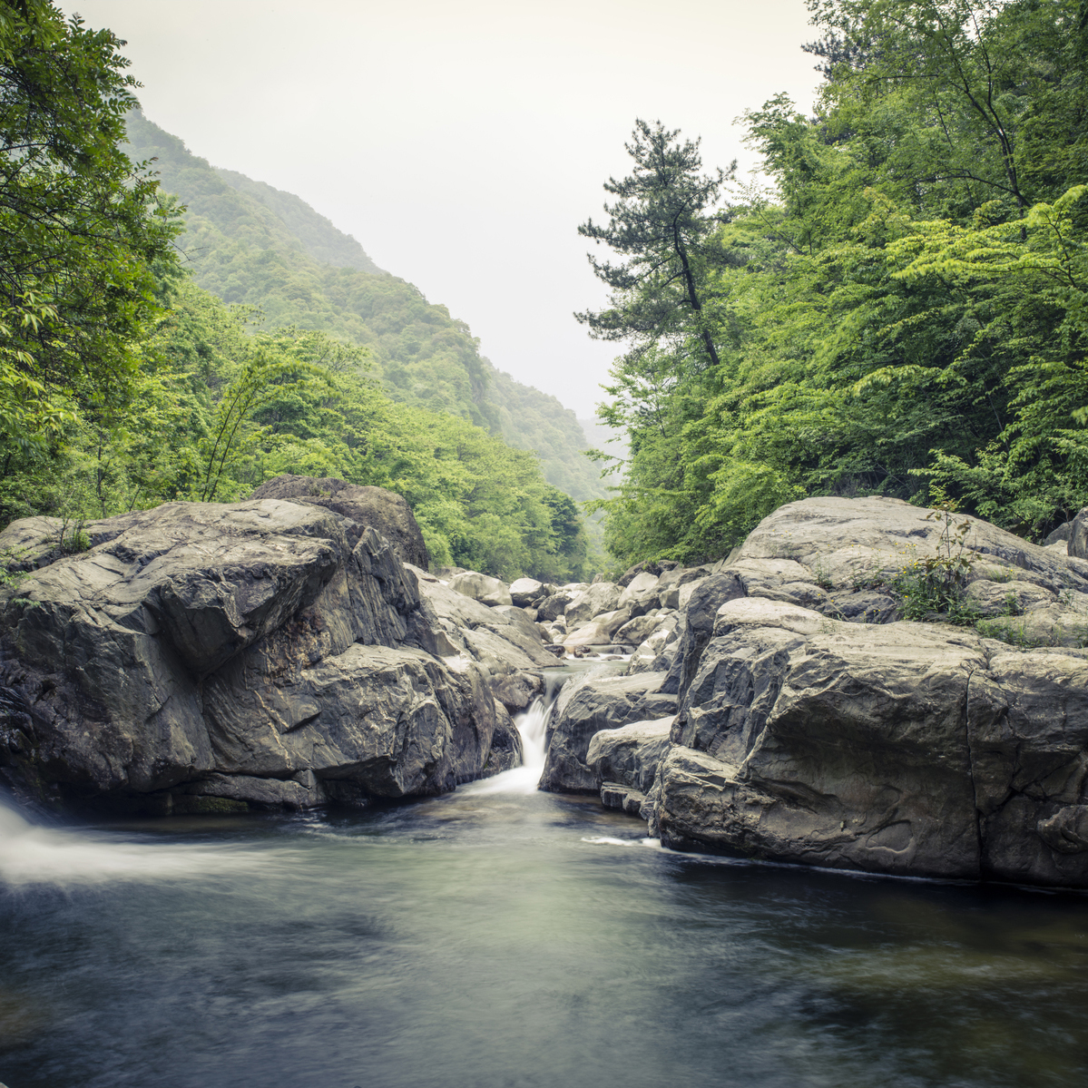 large rocks in a river surrounded by greenery