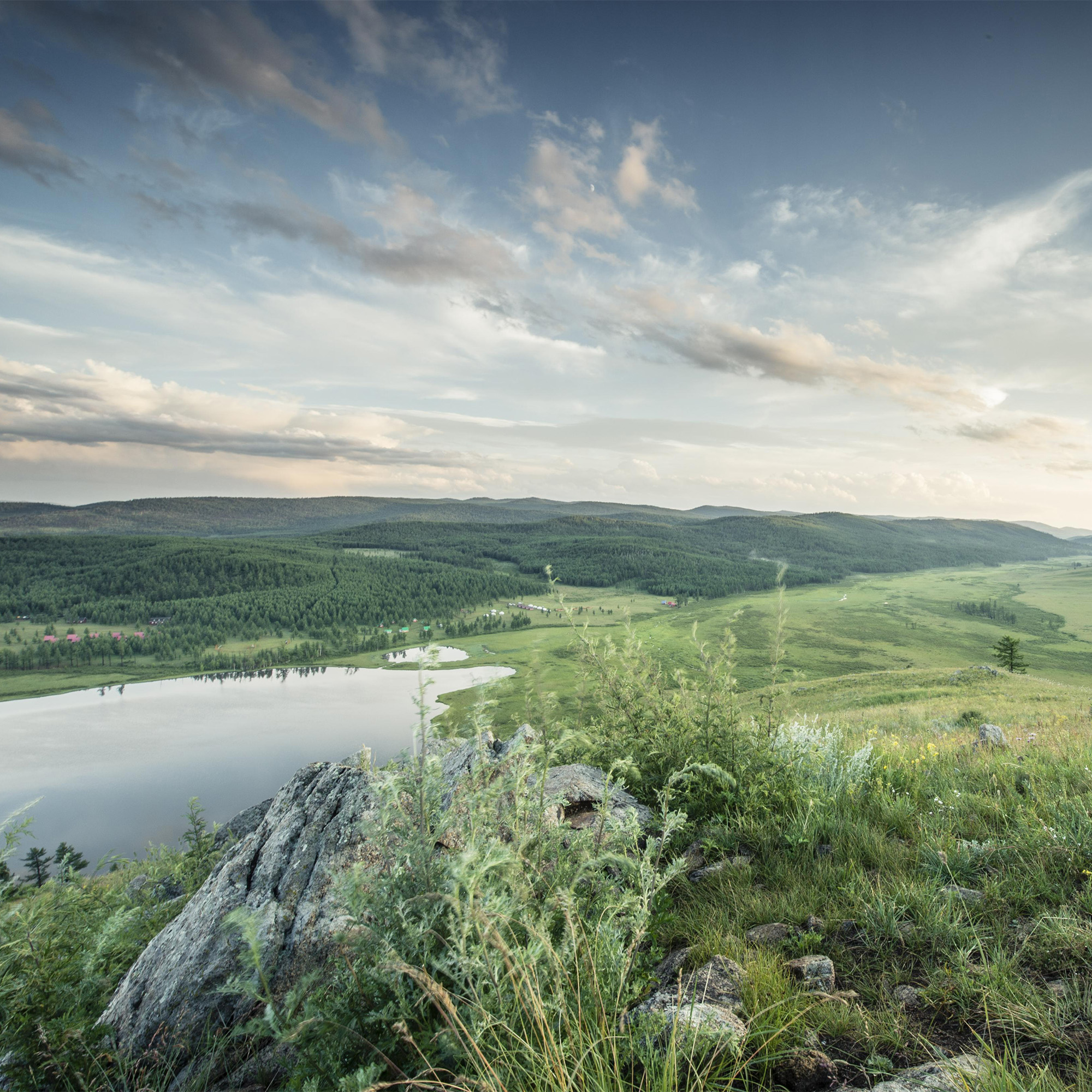 vast grassy landscape with soft colors shot at dusk 