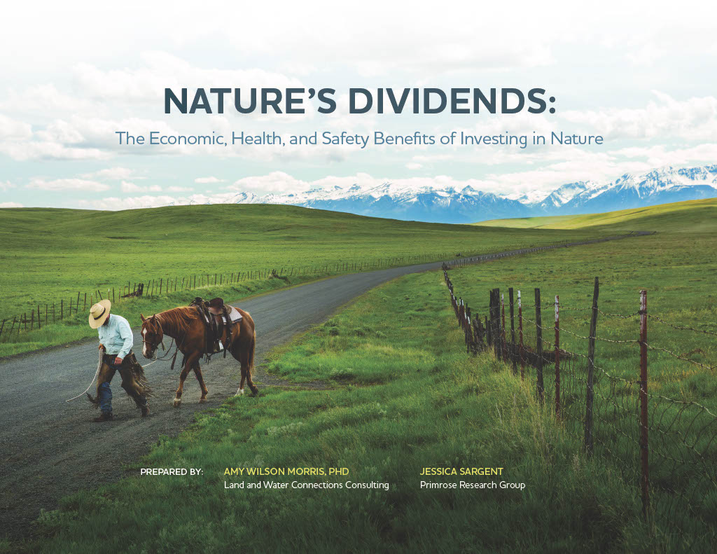 Cover of the TNC Nature's Dividends report