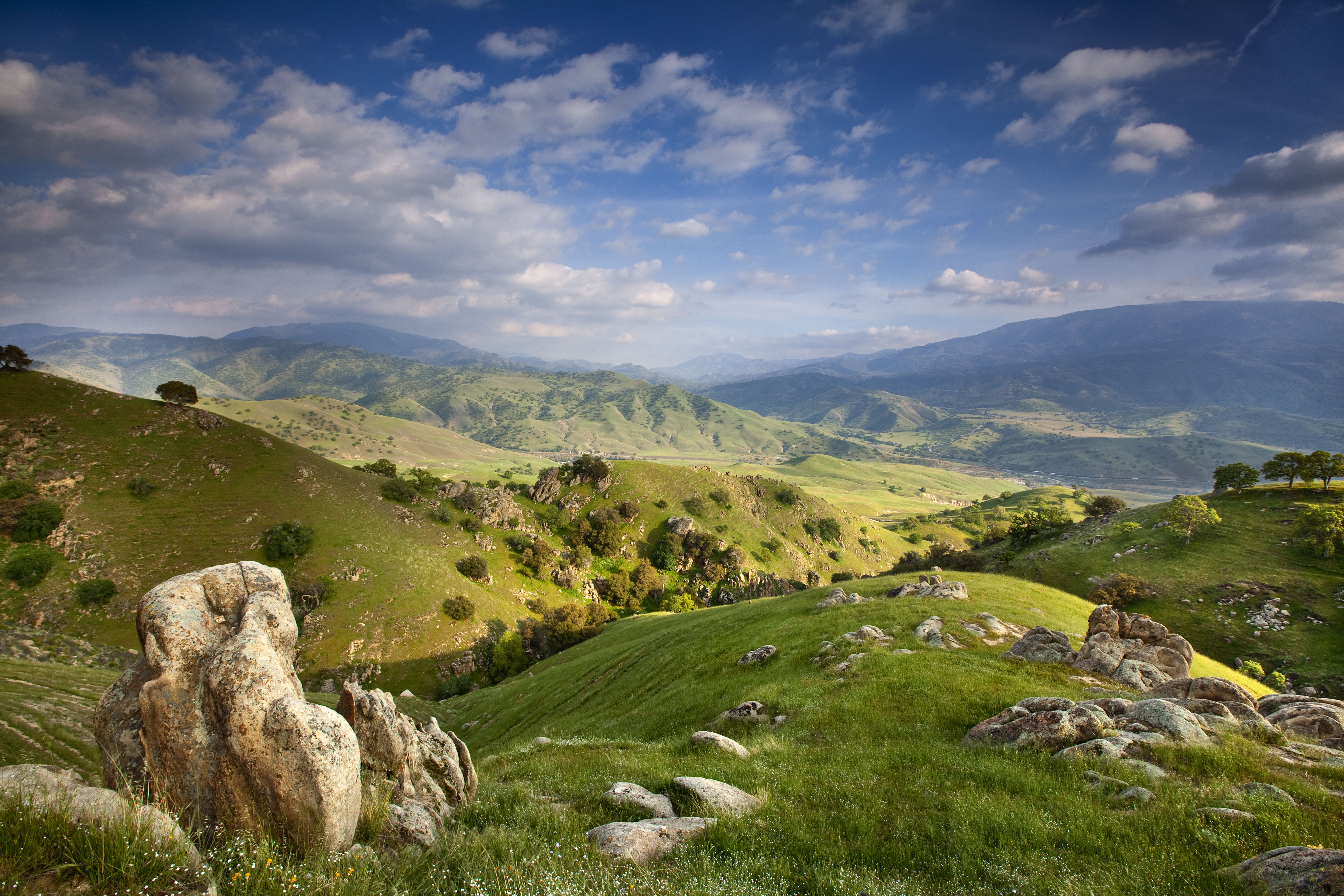 Scenic views of the rolling green hills and oak trees.