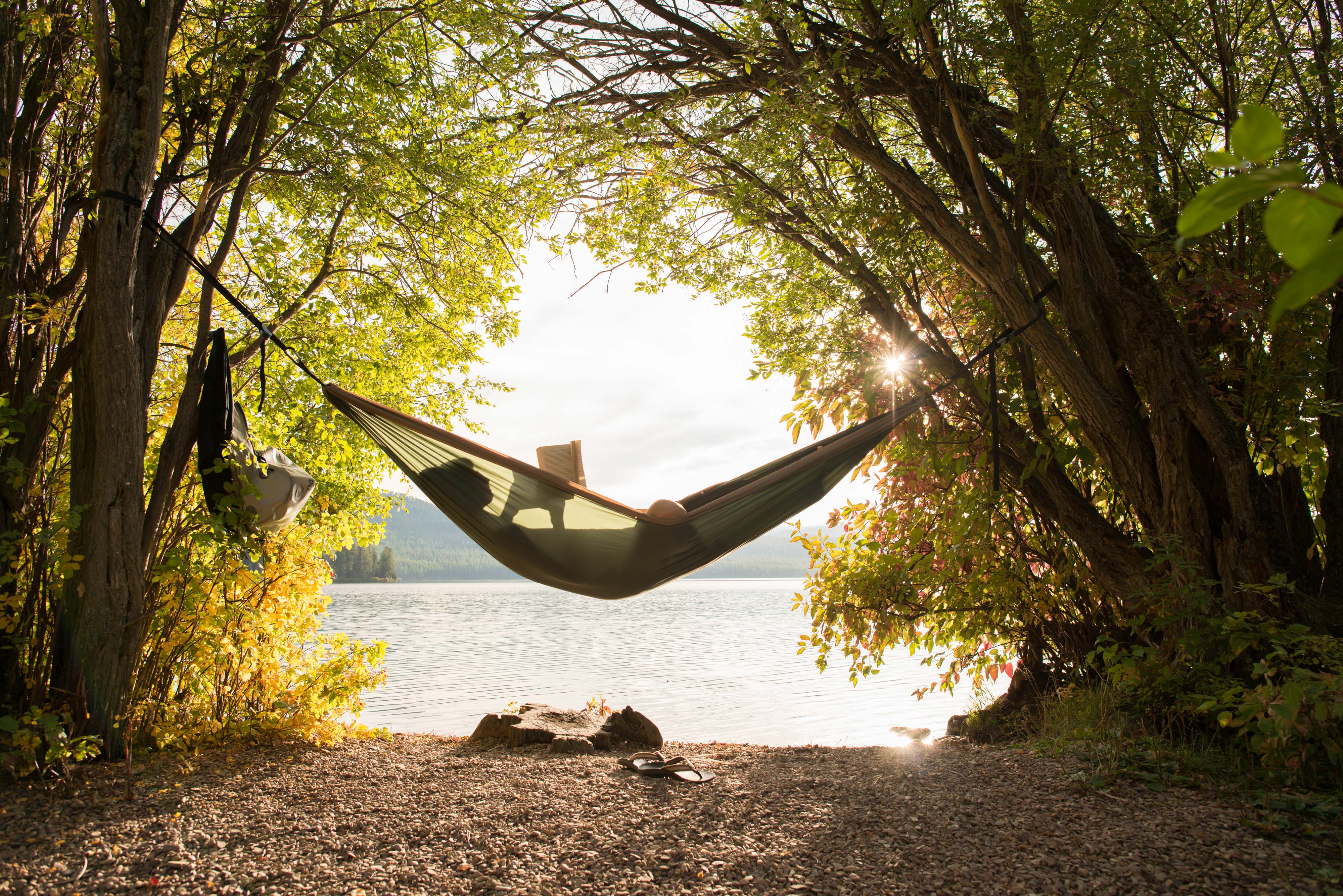 A woman reads a book while reclining in a hammock strung between two trees at the edge of a placid lake.