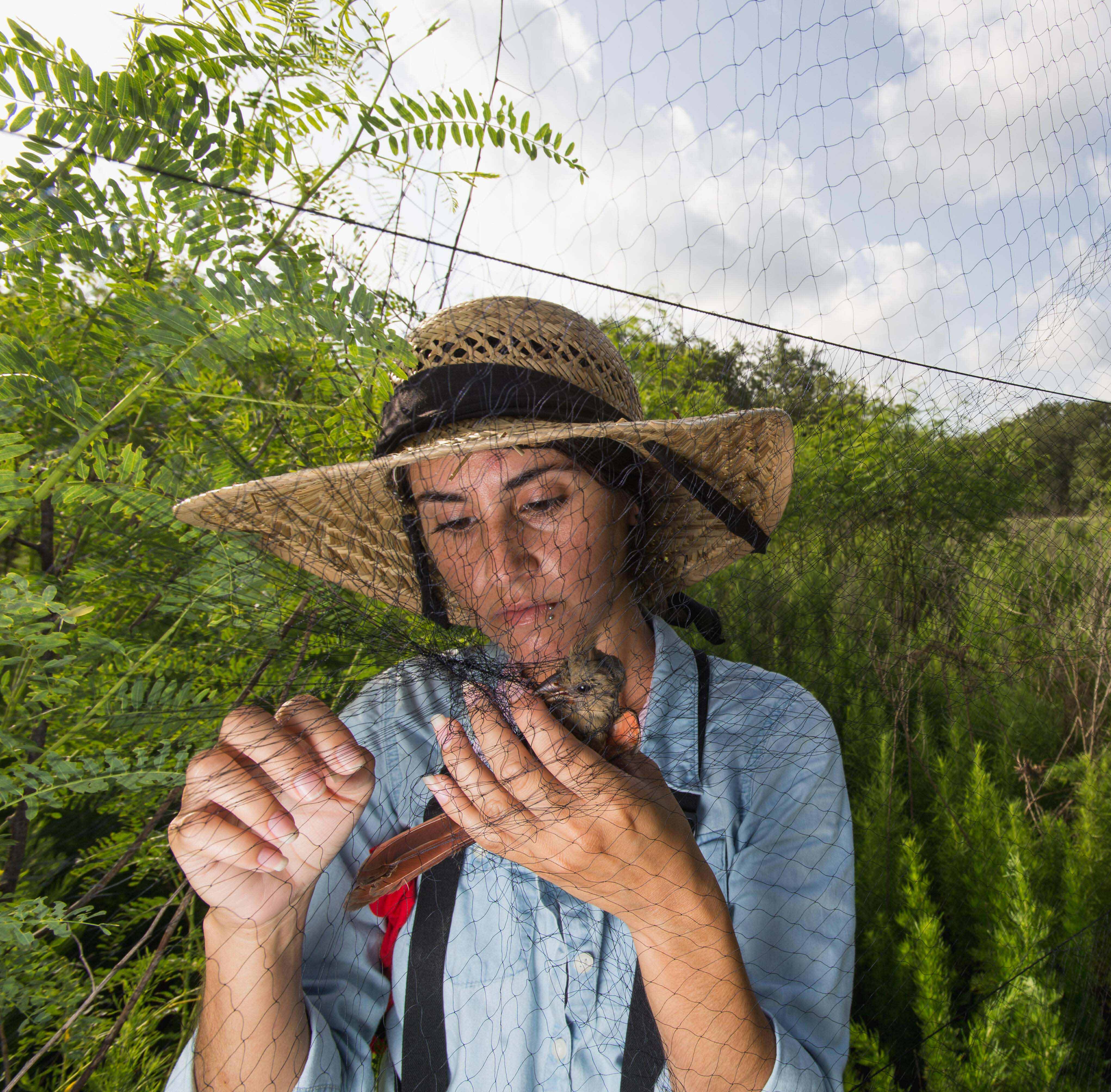 A woman in a hat removes a bird from a mist net.