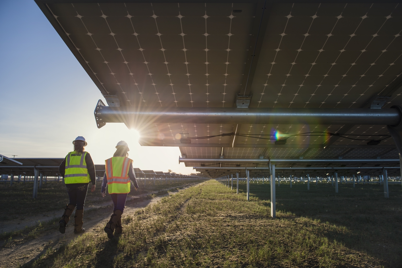 Two people wearing safety vests and hard hats walk among a field of solar panels.
