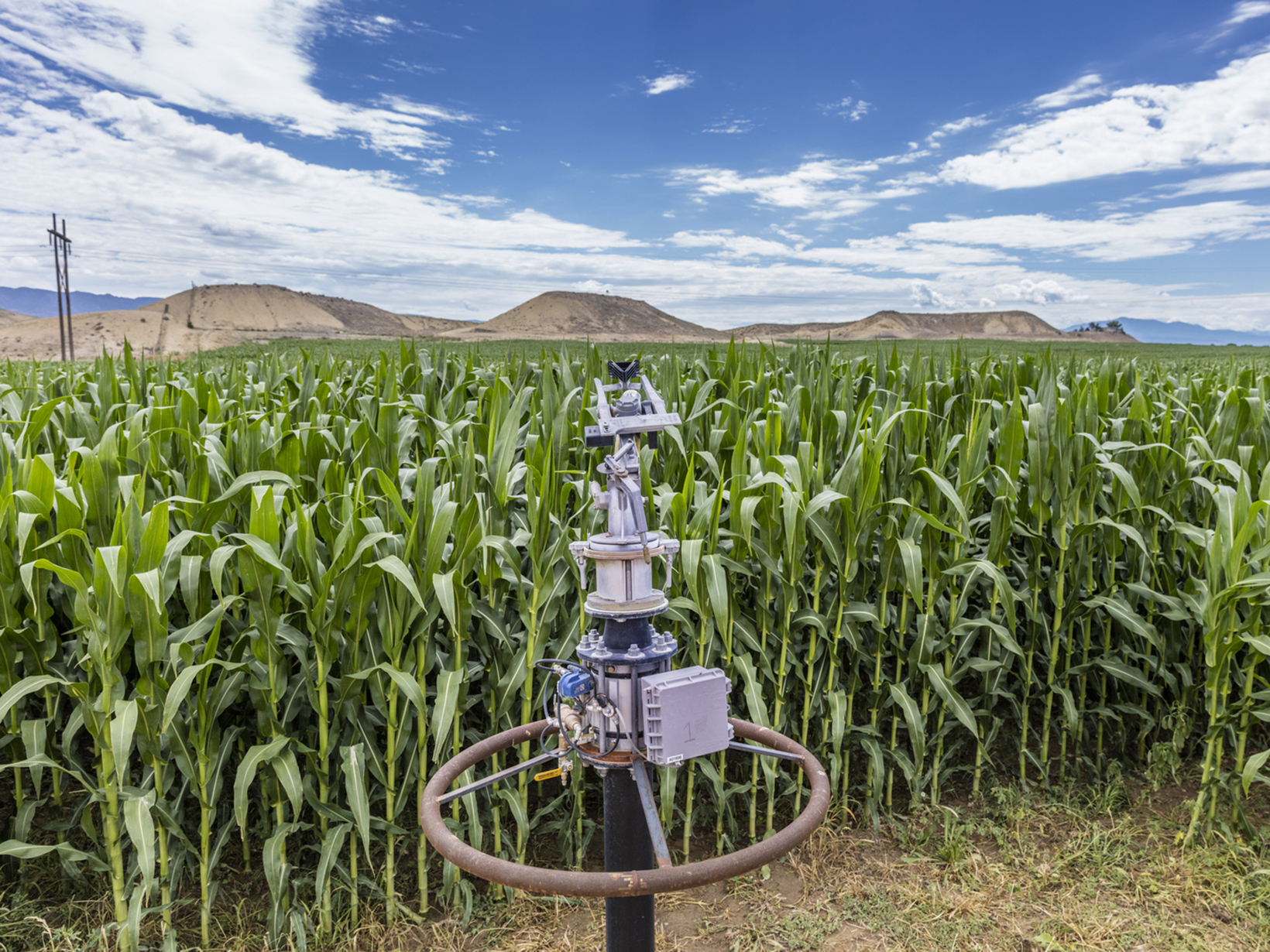 An irrigation device in front of a field of young corn on Meaker Farm in Colorado.