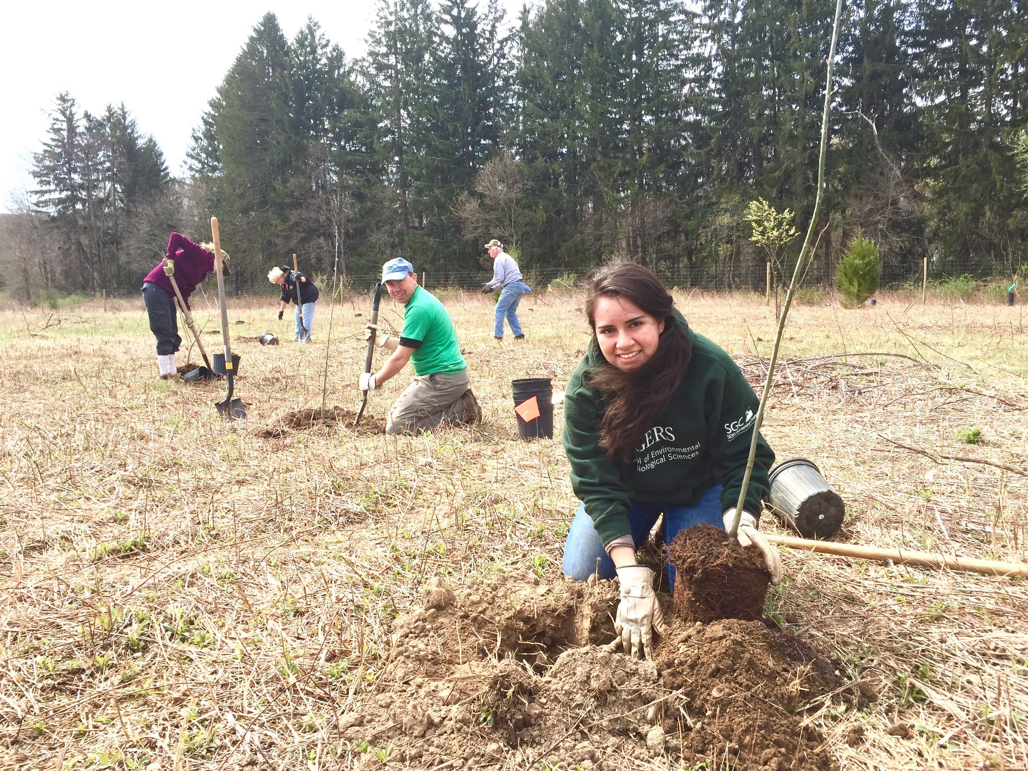 Five tree planting volunteers working in a clearing; two are looking at the camera and smiling.